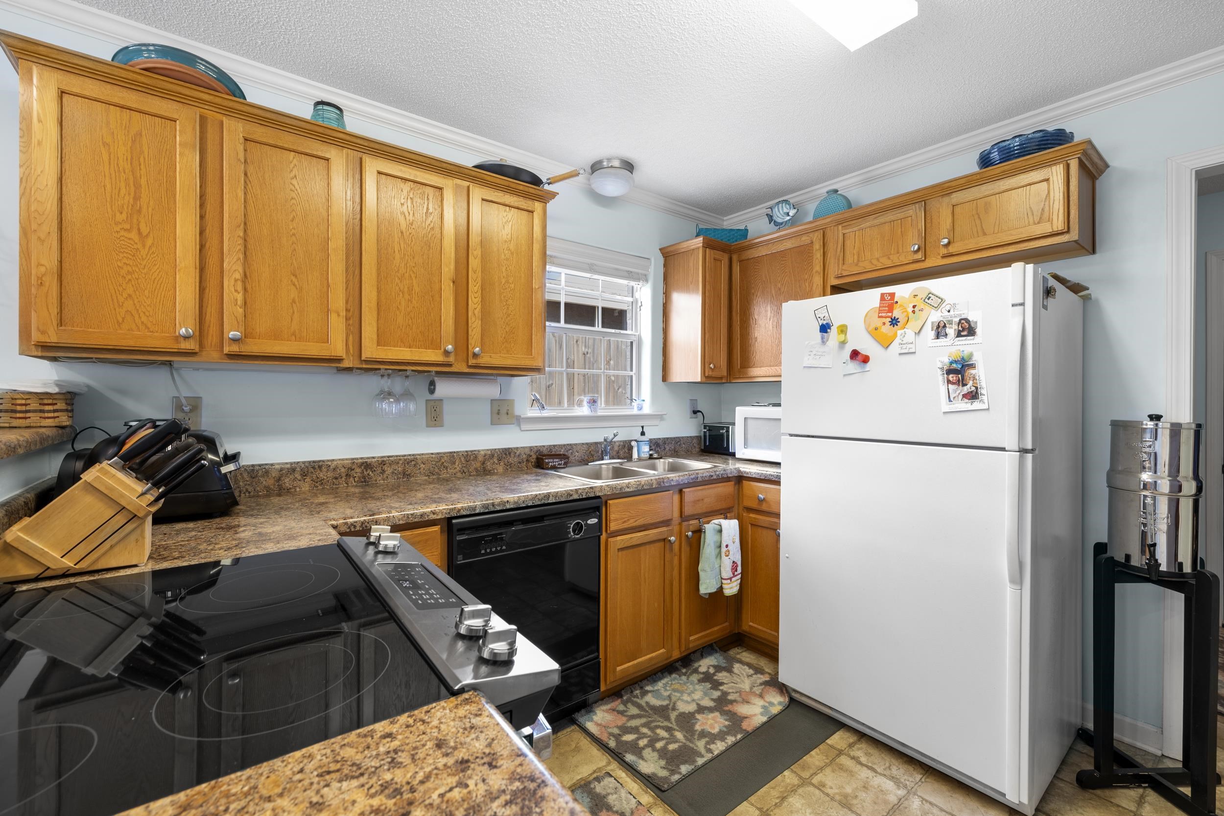 20 WILLOW BIRCH CV