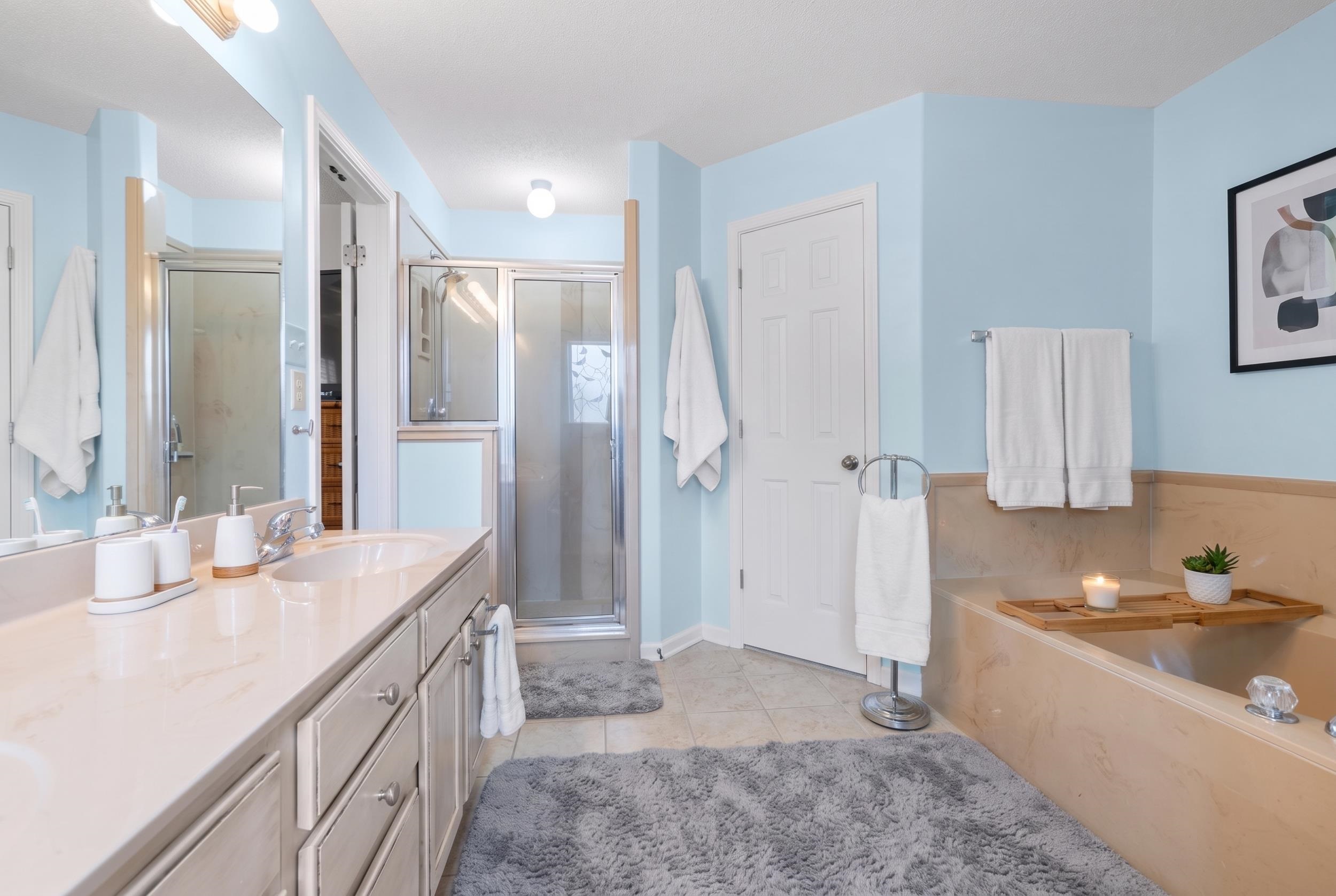 20 WILLOW BIRCH CV