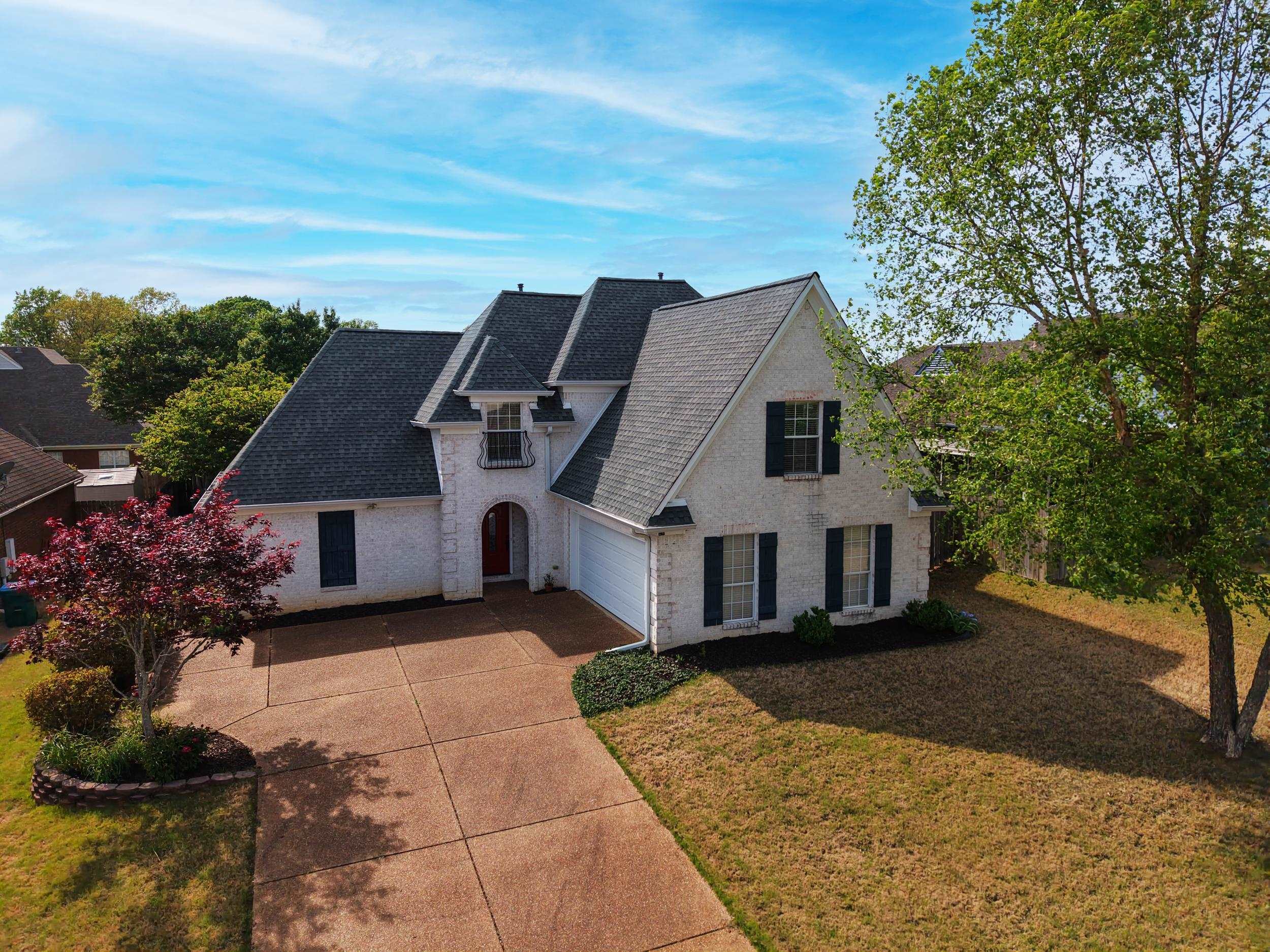20 WILLOW BIRCH CV