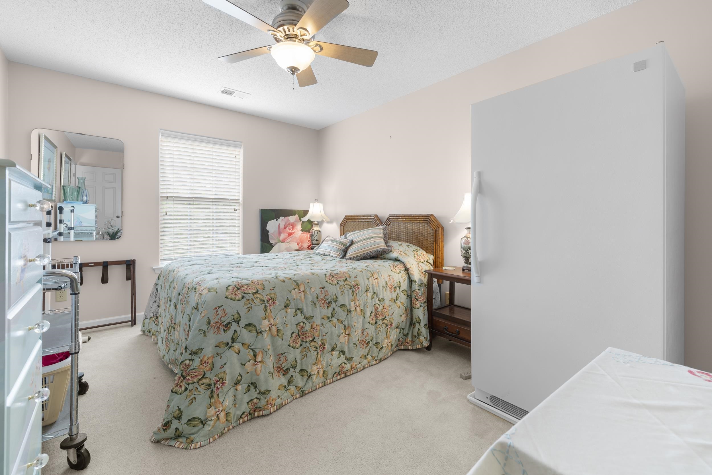 20 WILLOW BIRCH CV