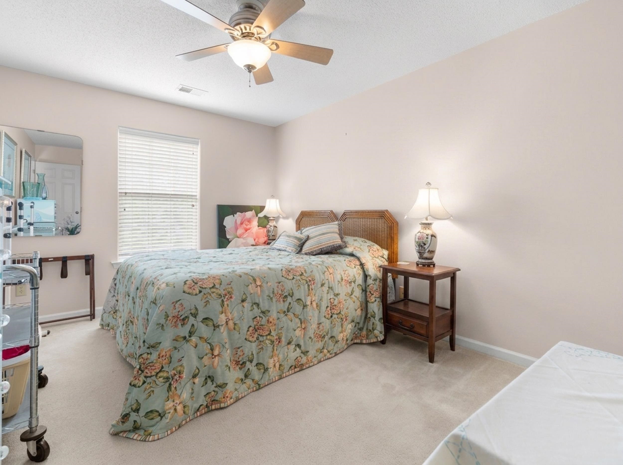 20 WILLOW BIRCH CV