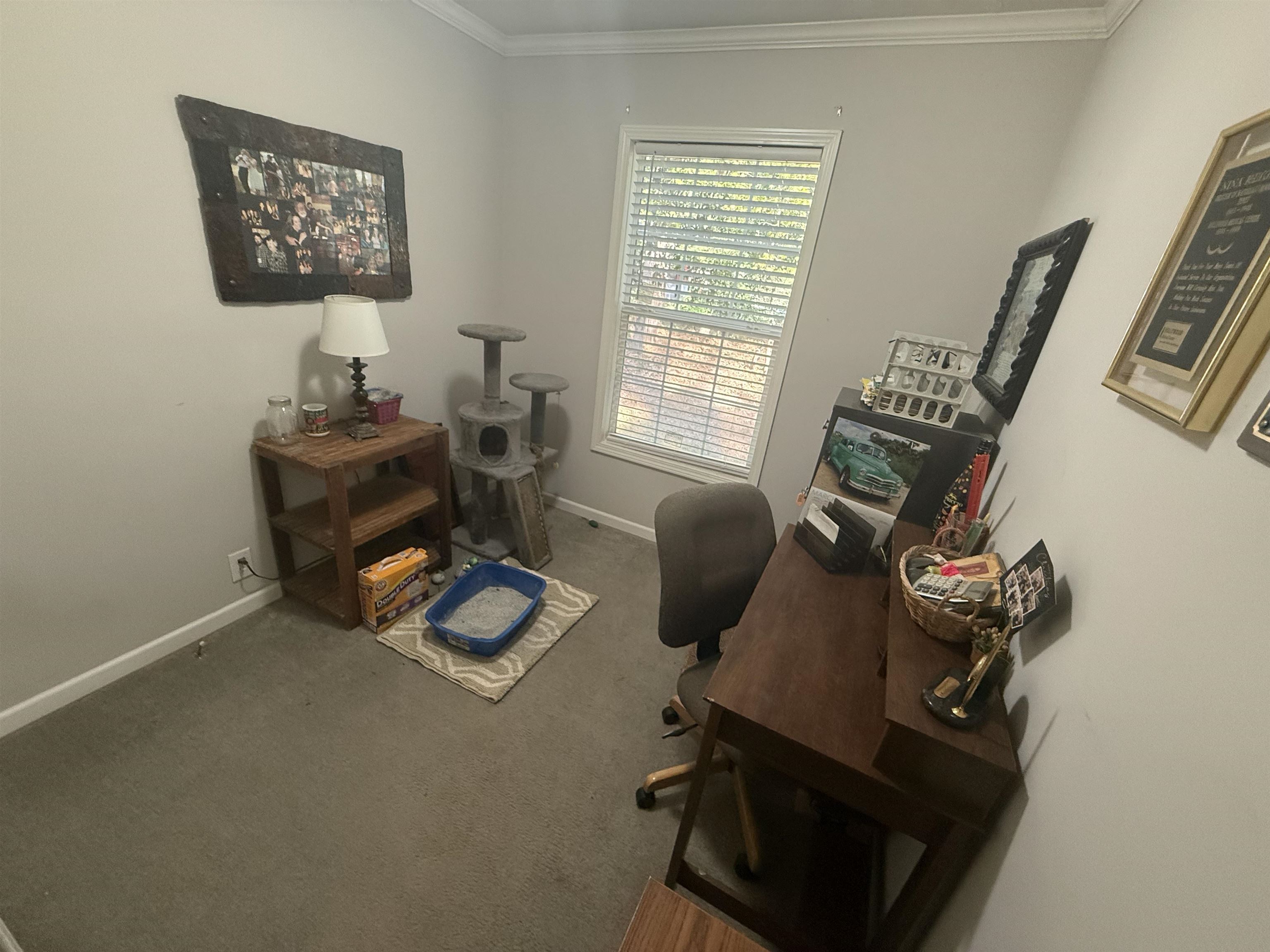 185 PINETREE RD