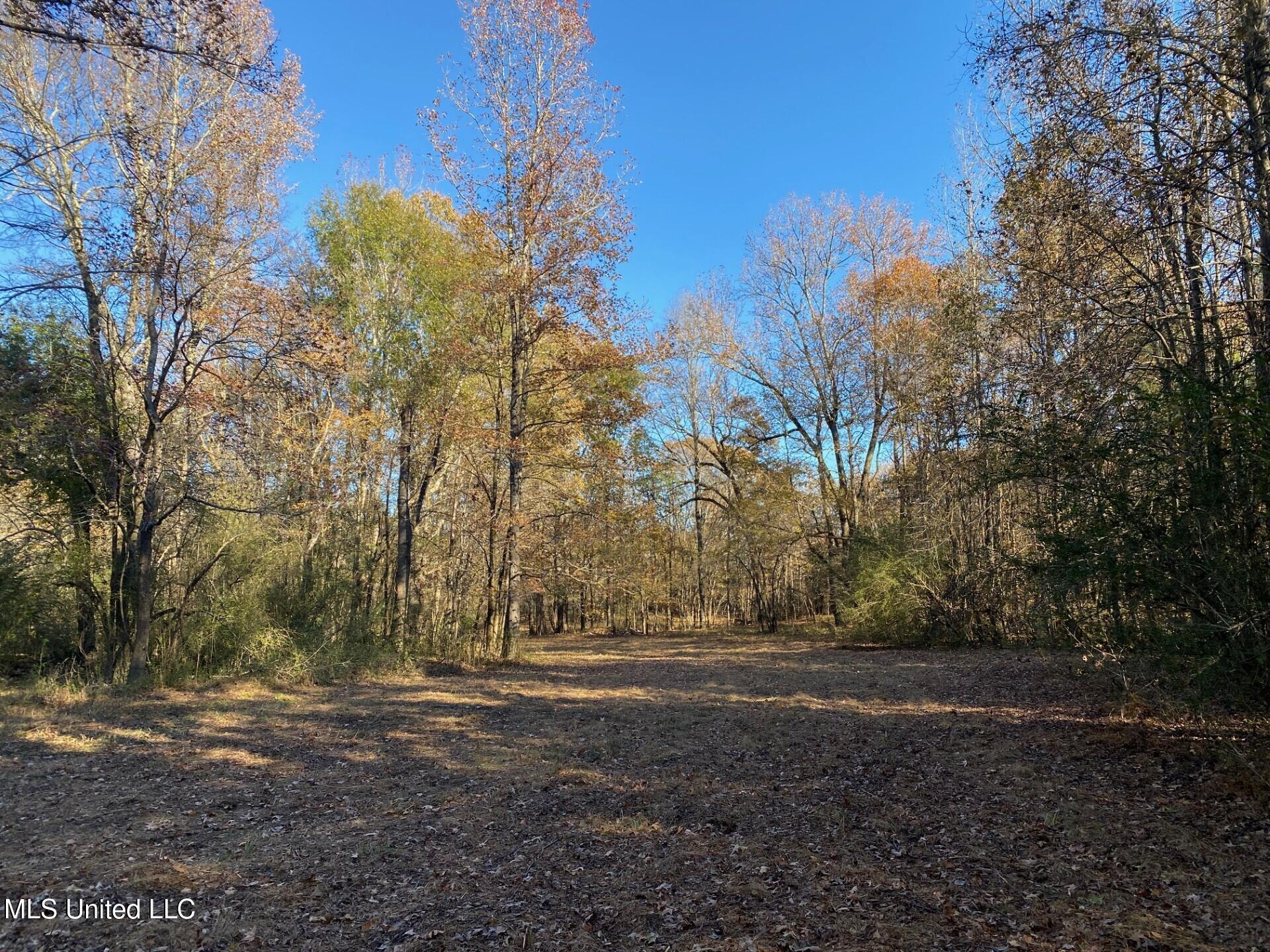 2085 Yellowdog Road