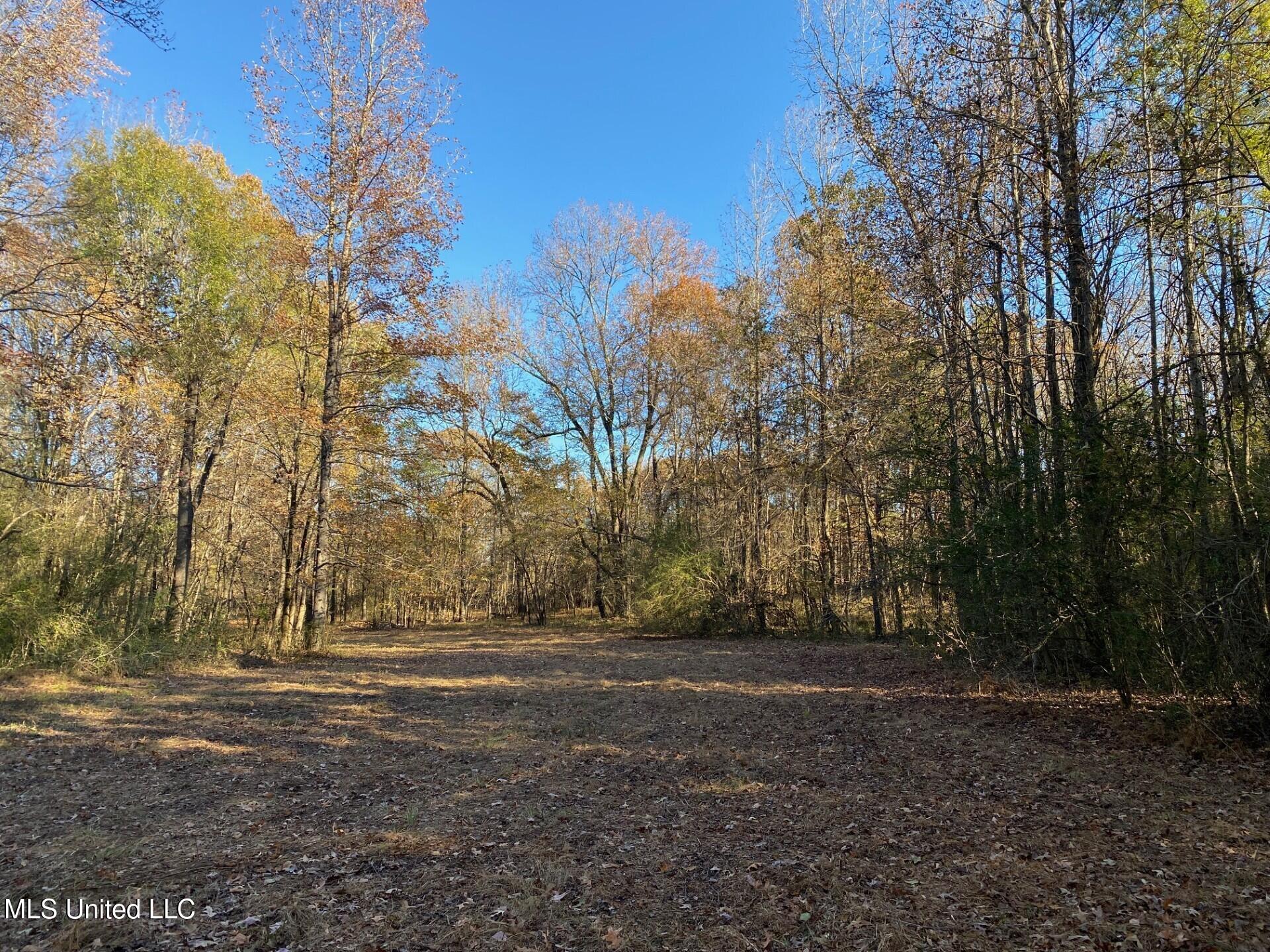 2085 Yellowdog Road