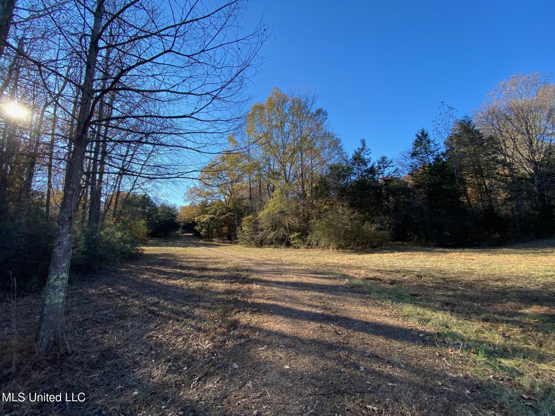 2085 Yellowdog Road