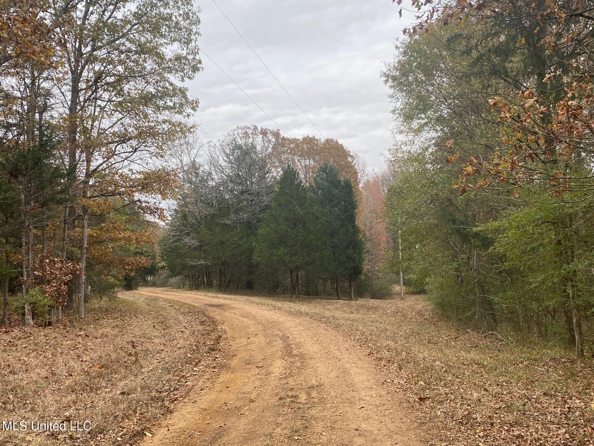 2085 Yellowdog Road