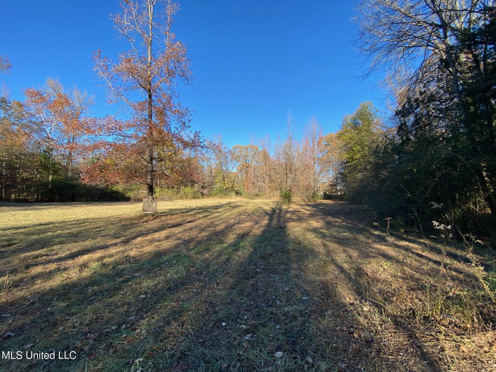 2085 Yellowdog Road