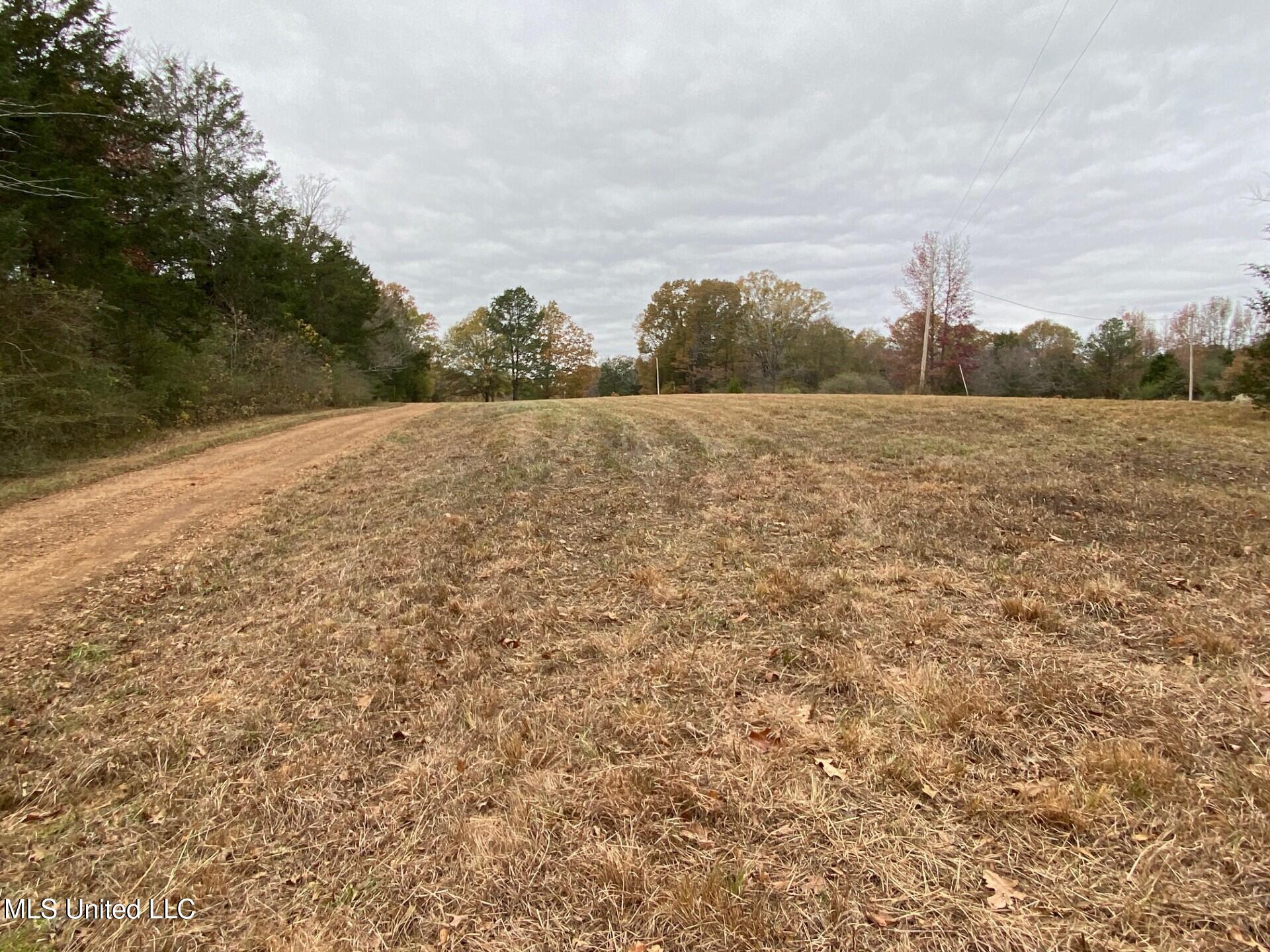 2085 Yellowdog Road