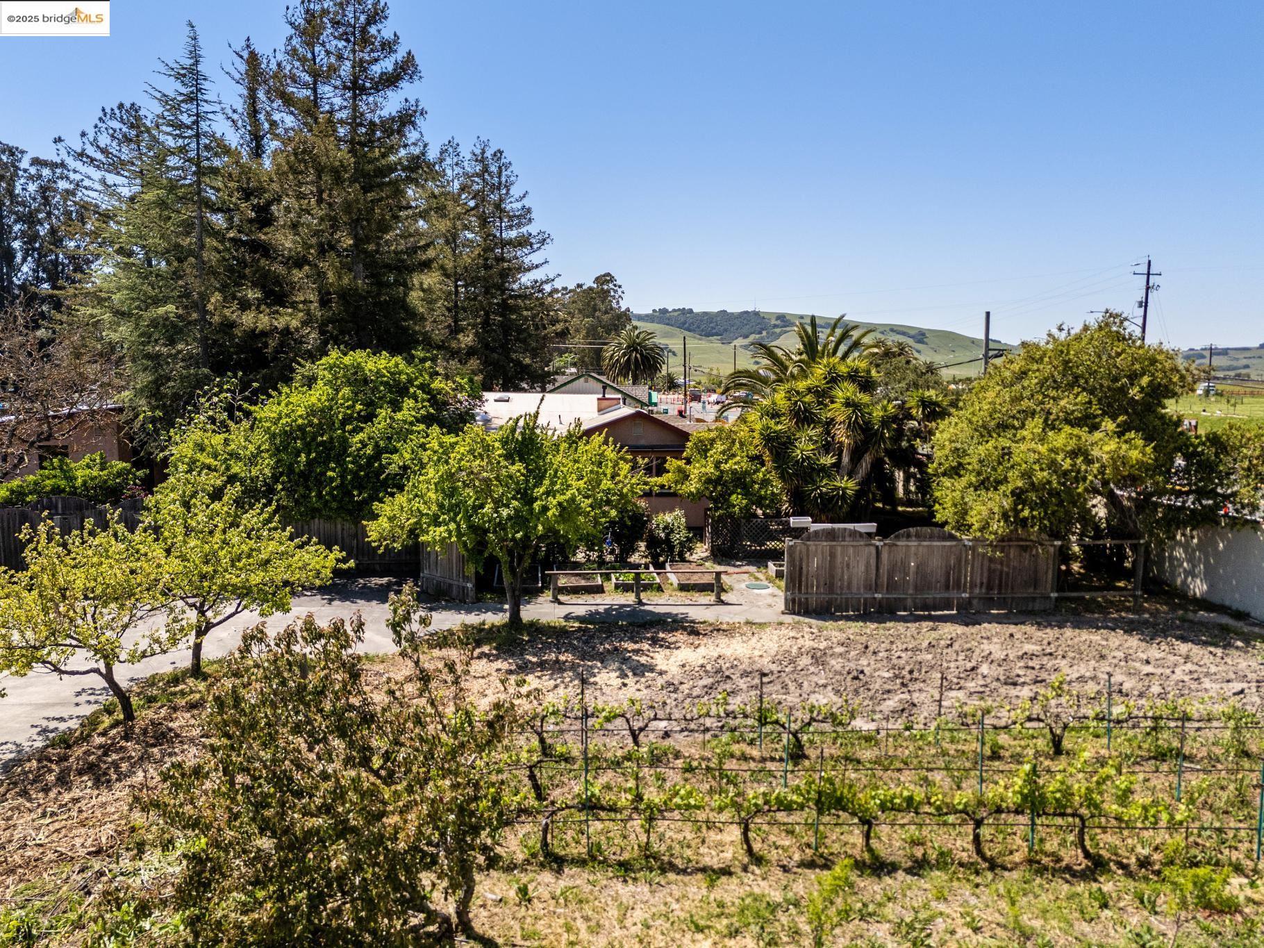 75 Fremont Dr.