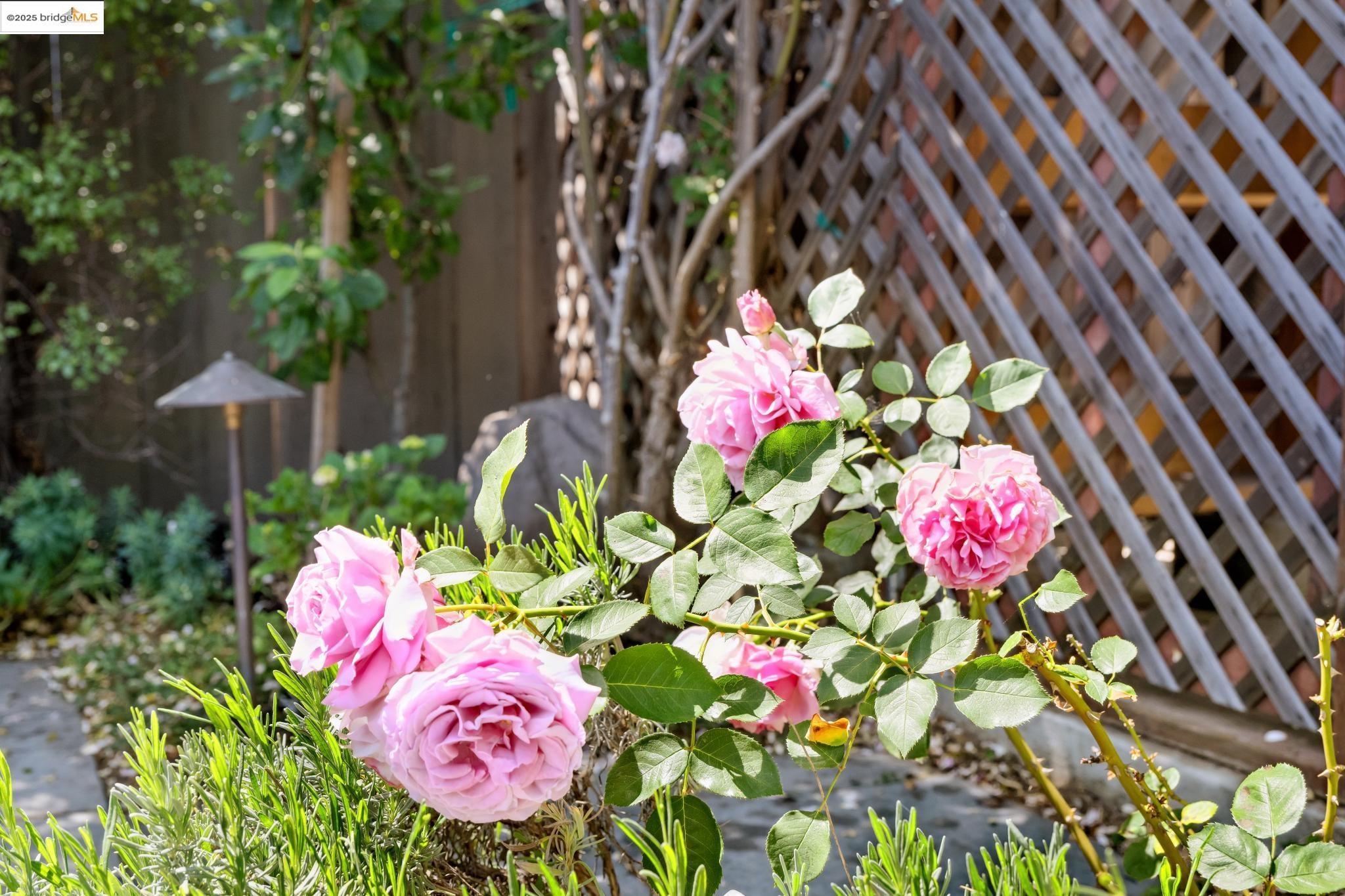 1042 Santa Clara Ave