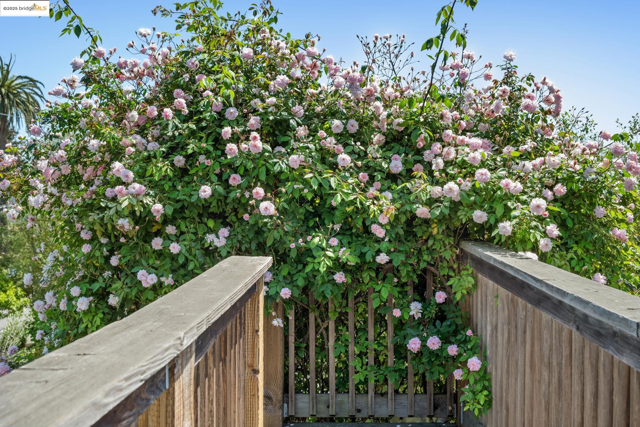 1042 Santa Clara Ave