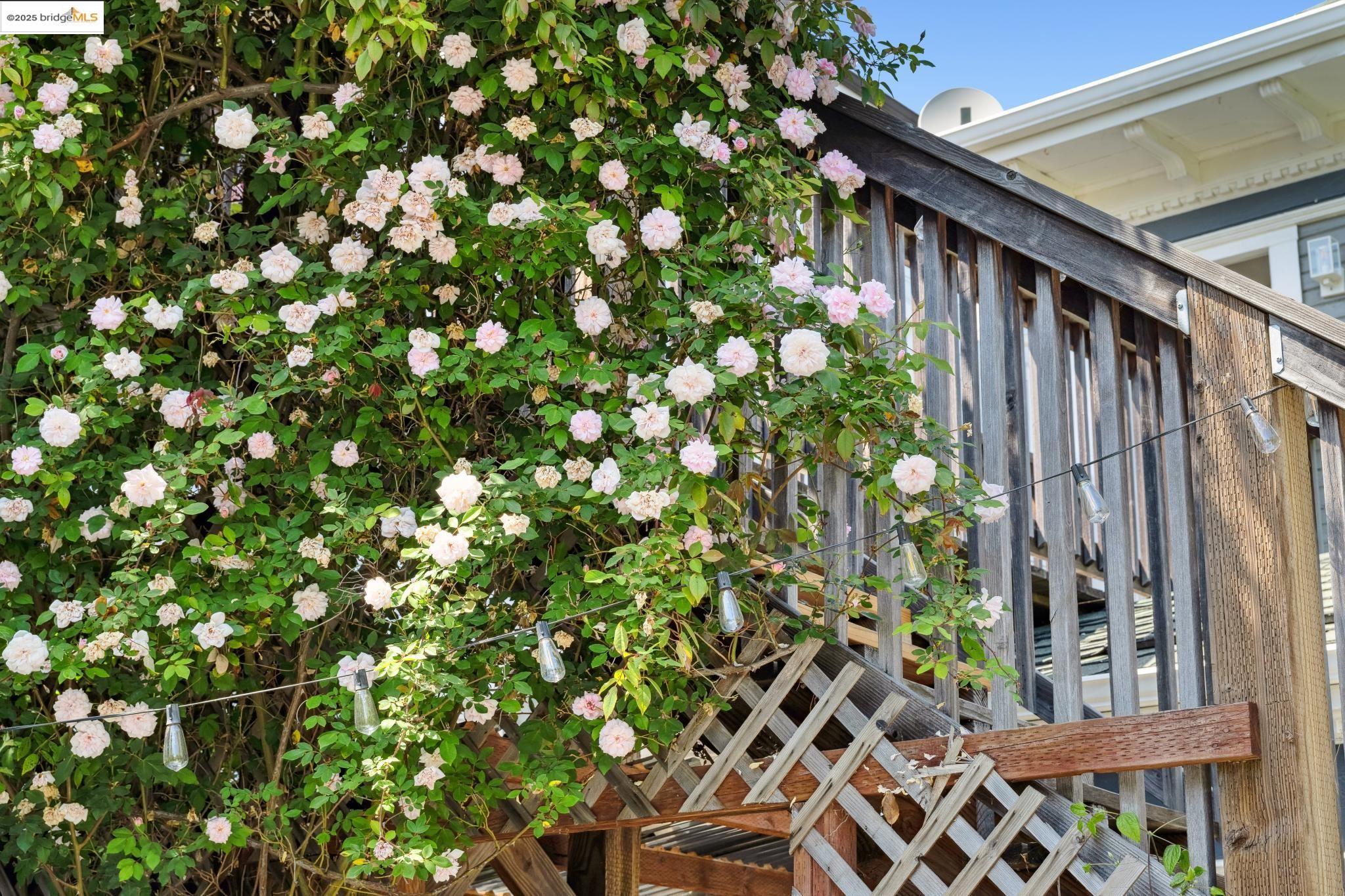 1042 Santa Clara Ave