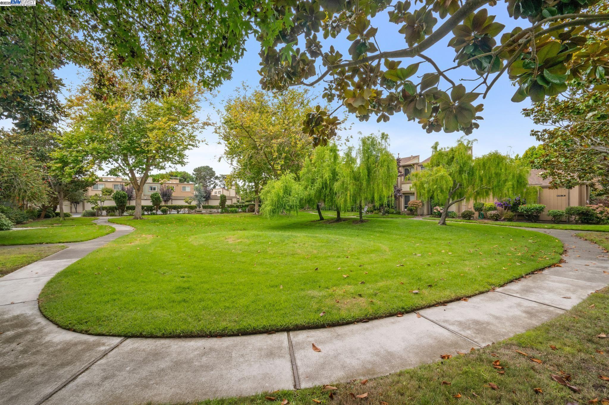 3344 Solomon Ln