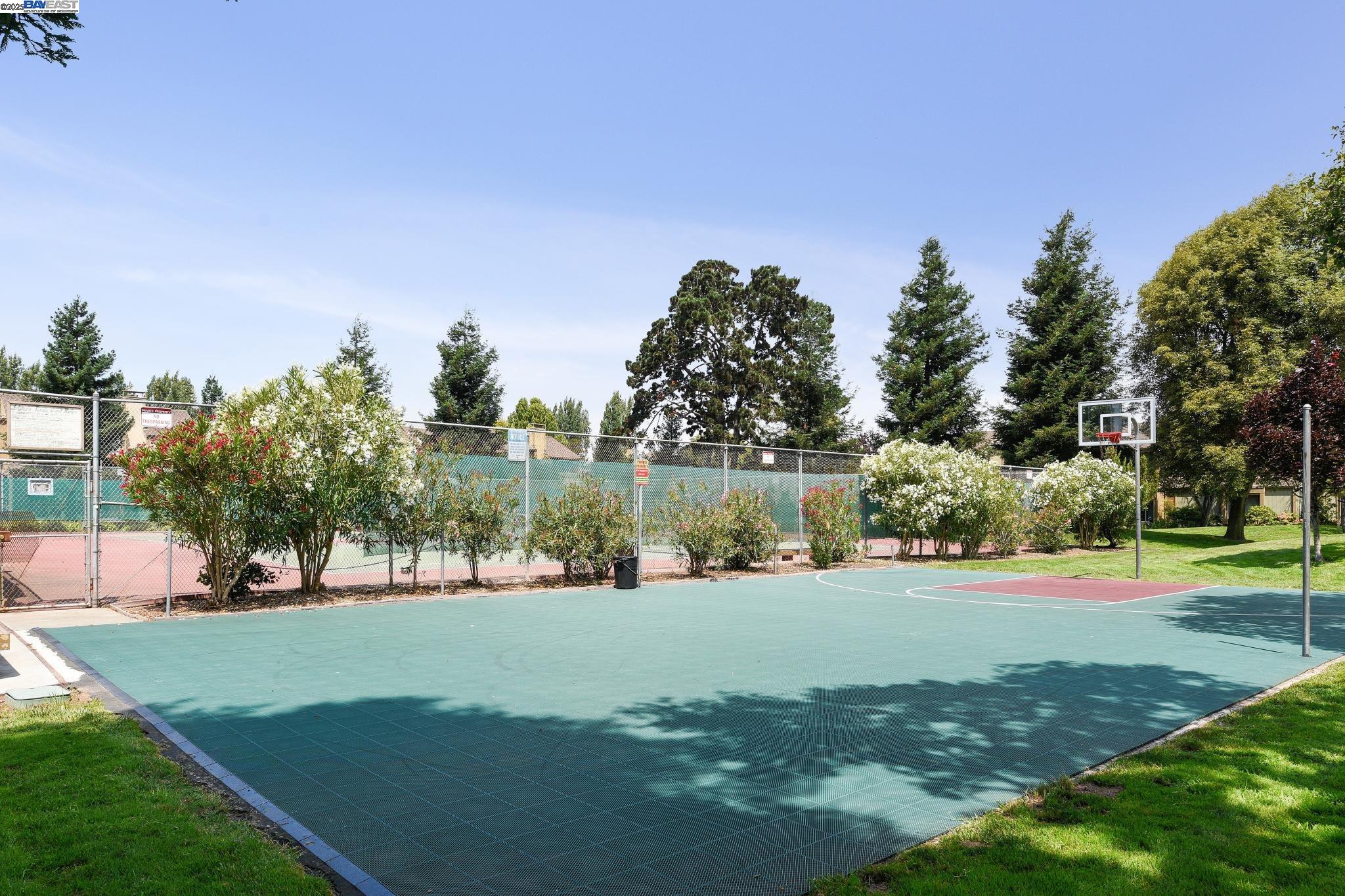 3344 Solomon Ln