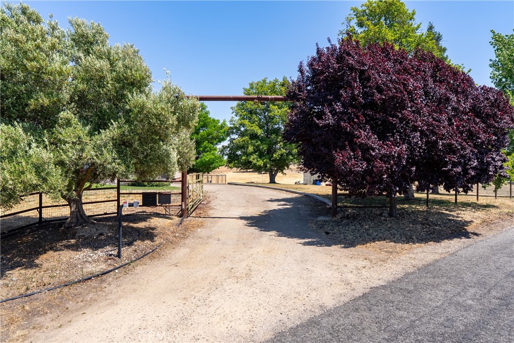 26 Deer View Lane
