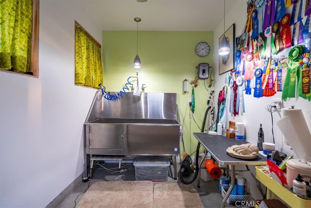 Pet grooming room with a stainless-steel tub, grooming table, and colorful award ribbons.