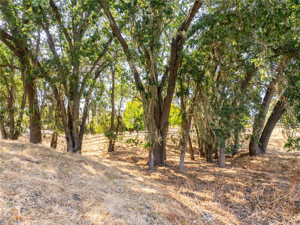 915 Santa Rita