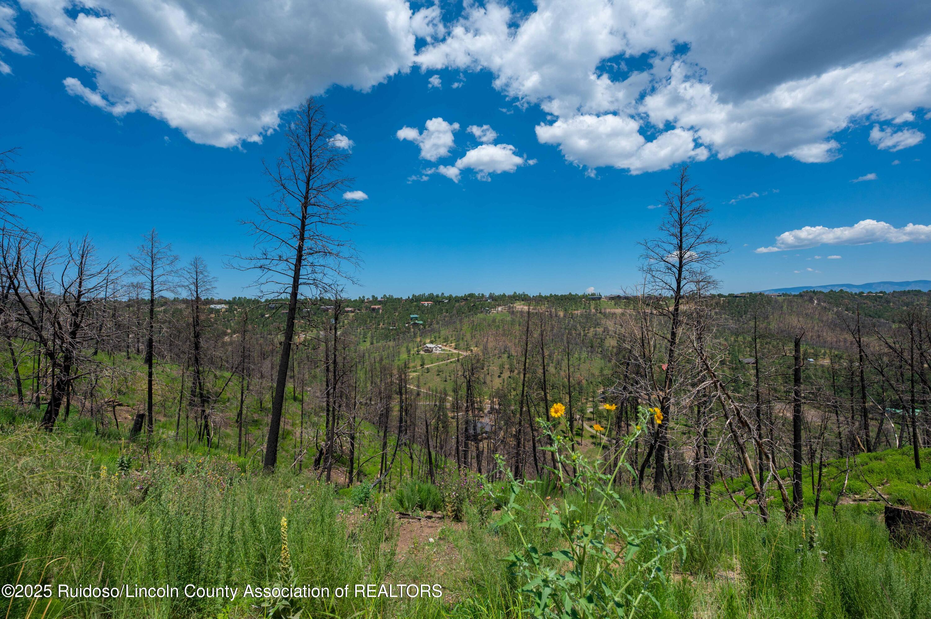 Lot 11 Gavilan Hills Road