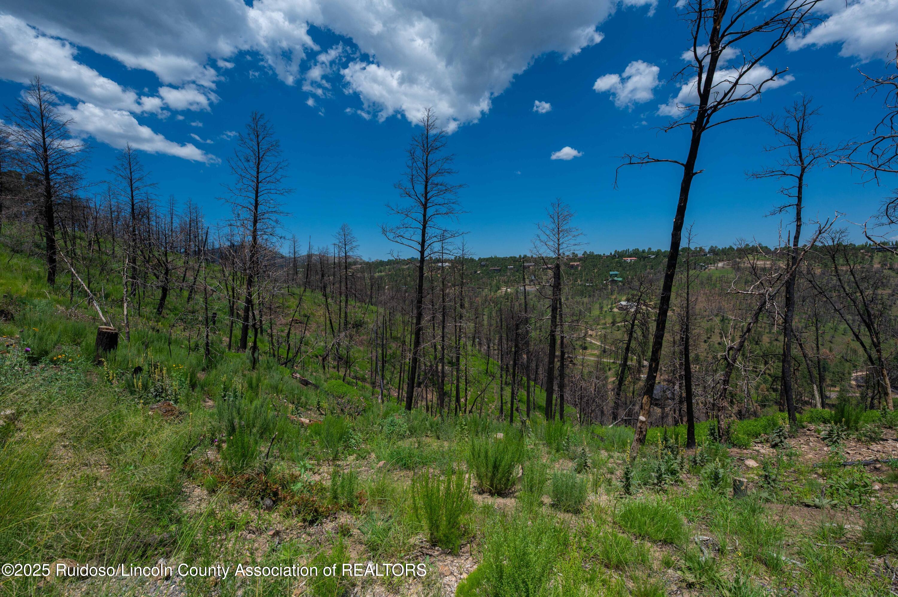 Lot 11 Gavilan Hills Road