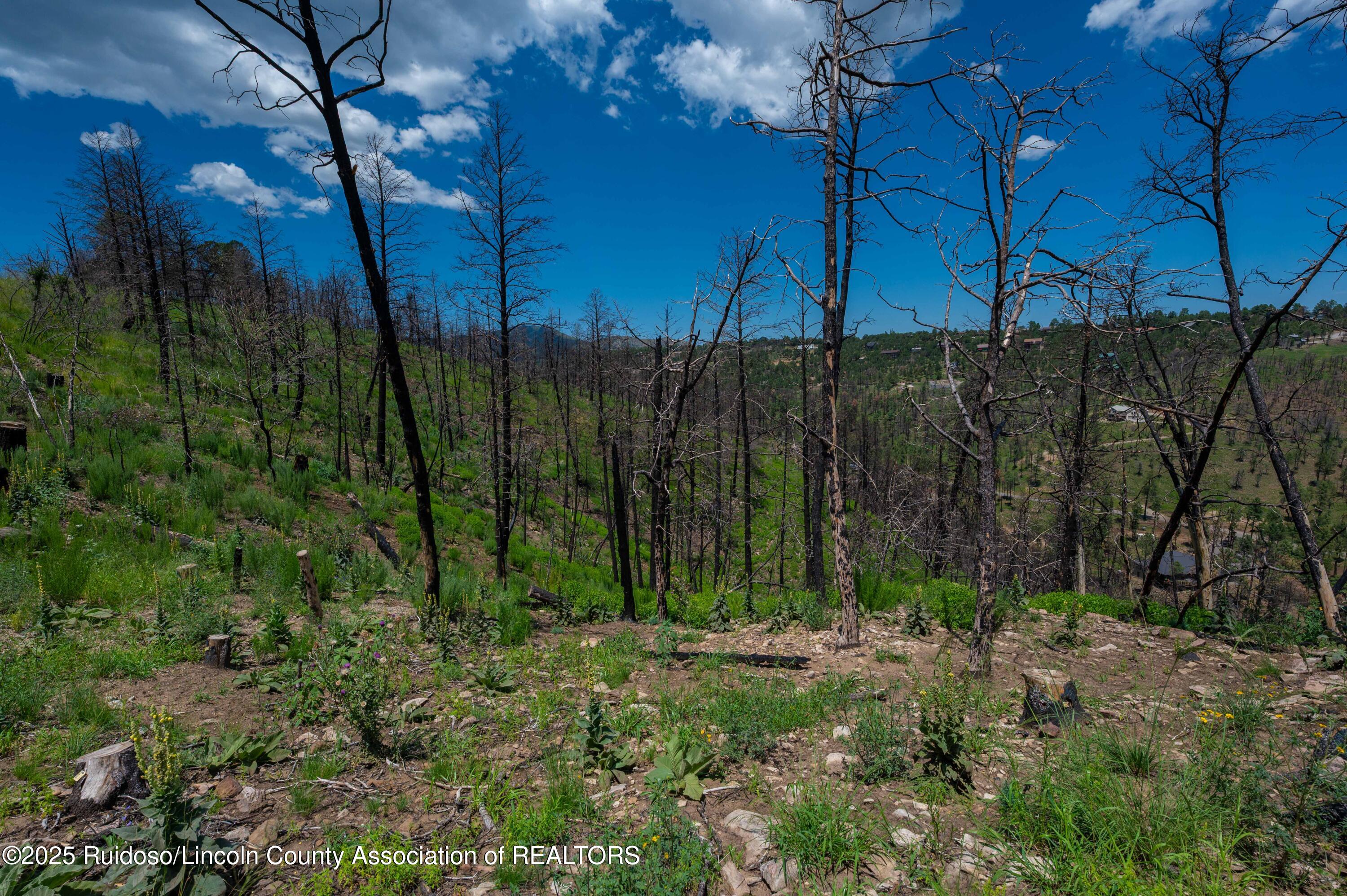 Lot 11 Gavilan Hills Road