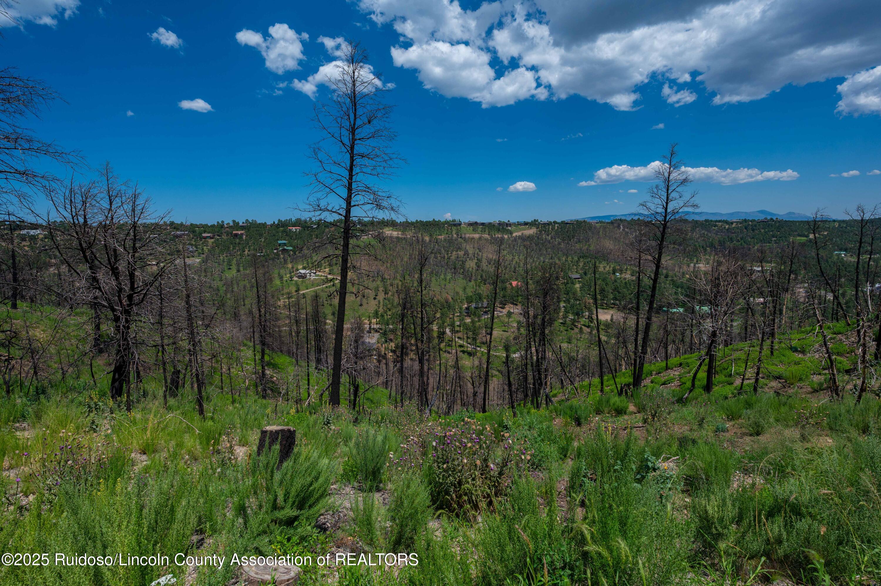 Lot 11 Gavilan Hills Road