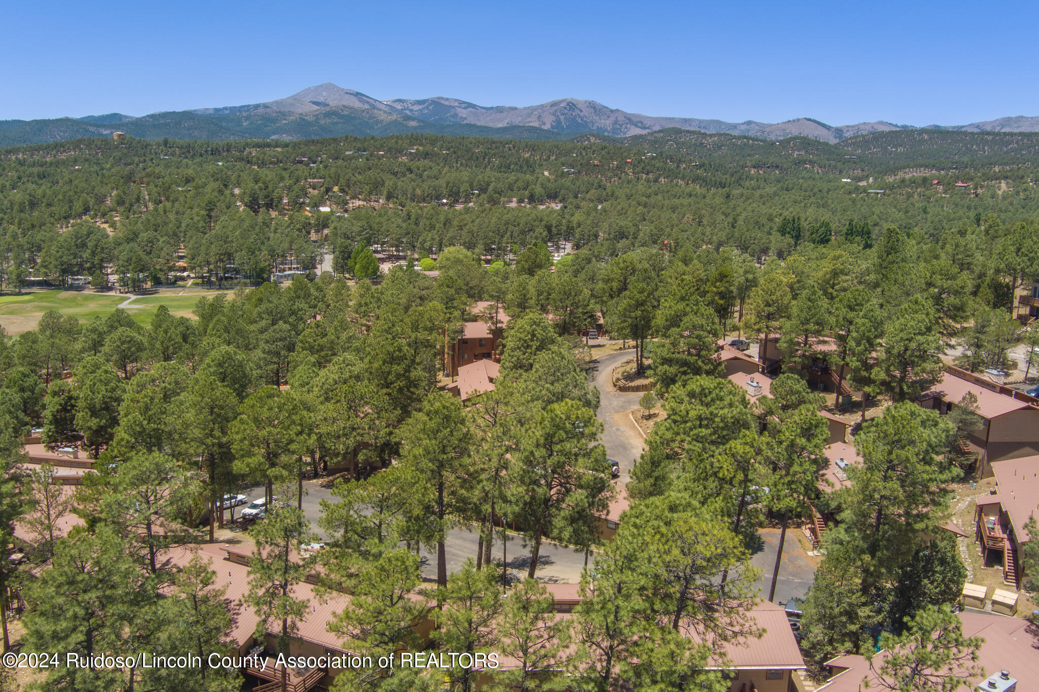 303 Racquet Drive 29