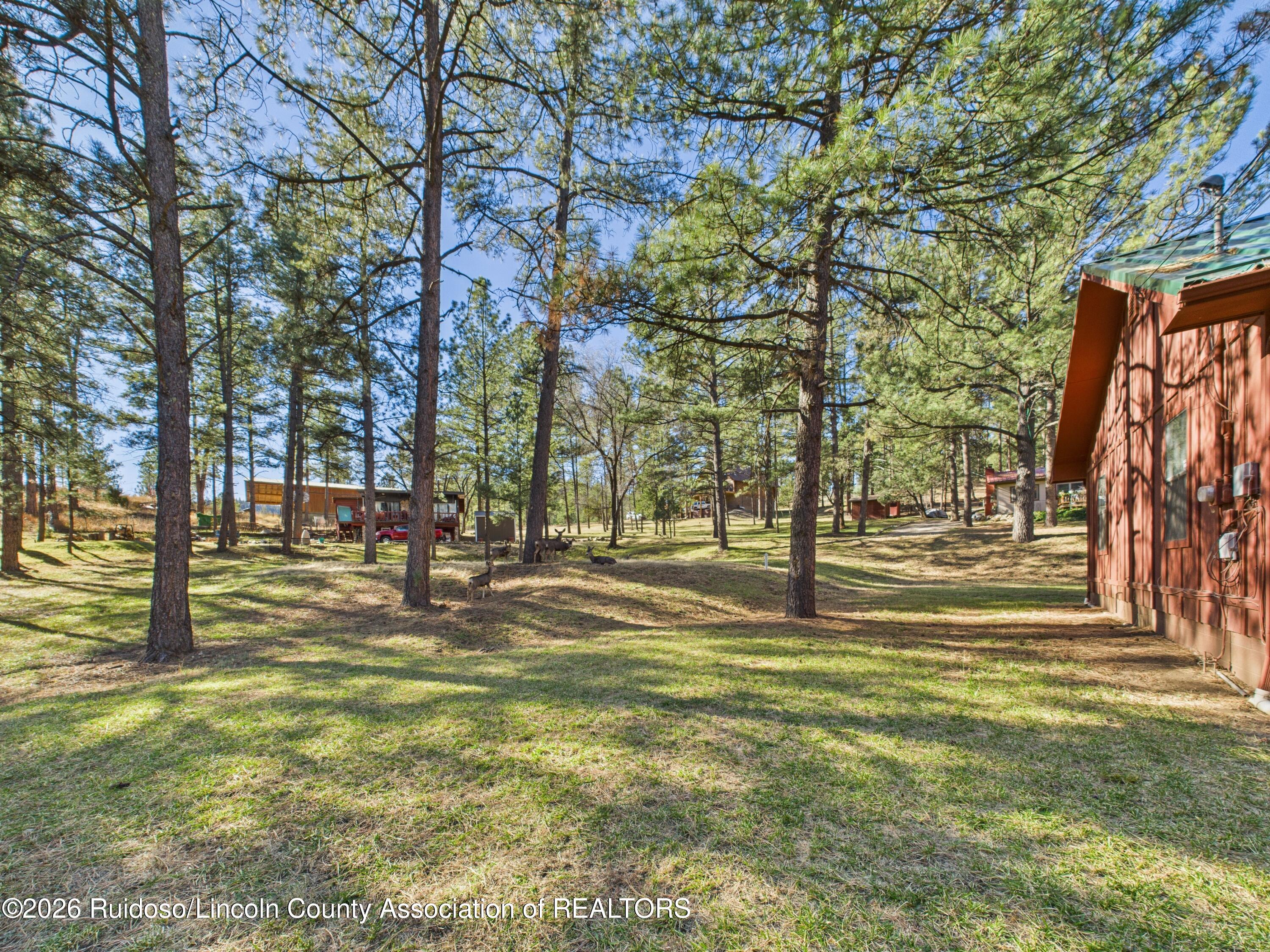 103 Long Trail