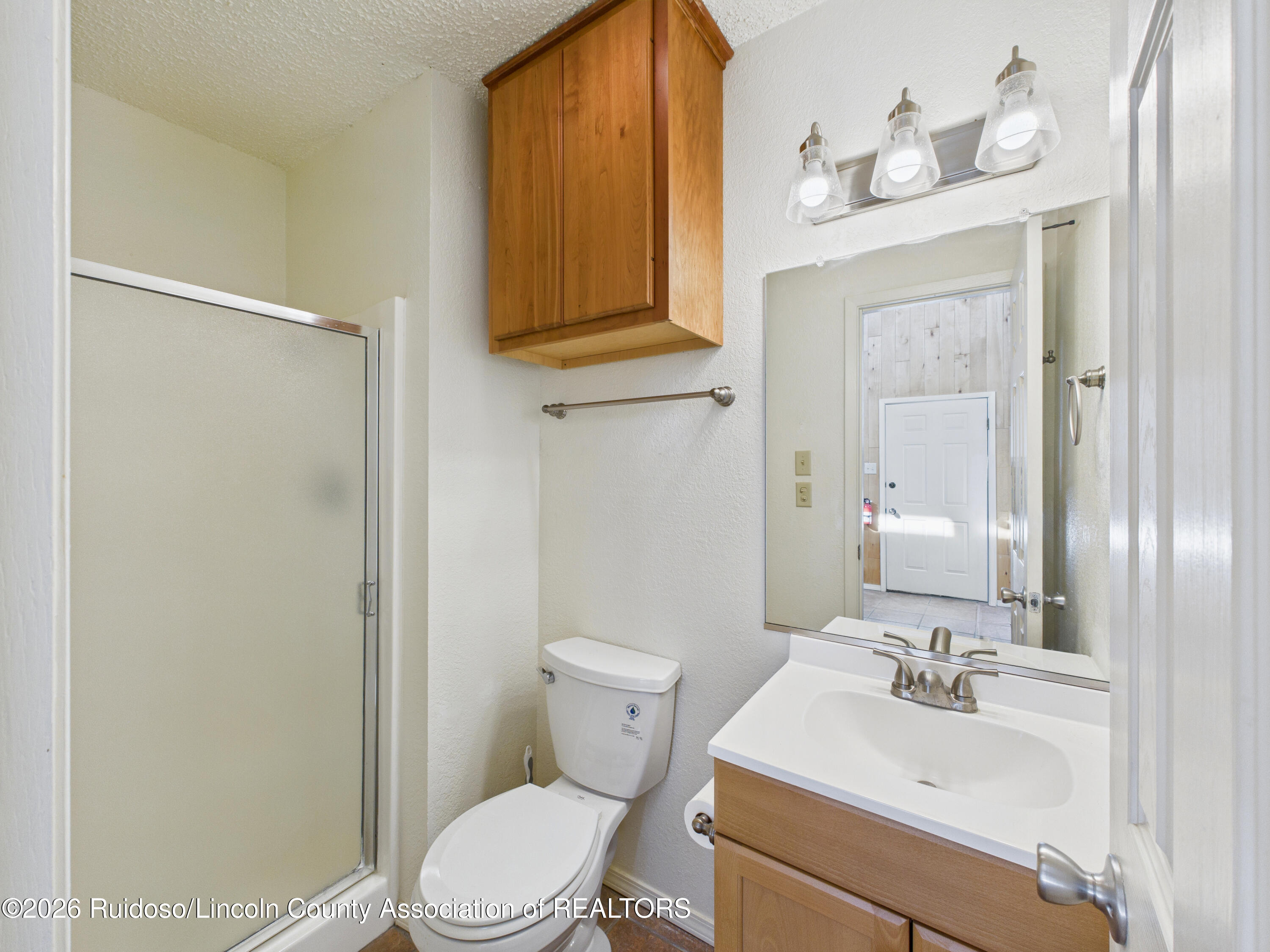Bathroom with a frosted-glass shower, toilet, and wood vanity beneath a large mirror.