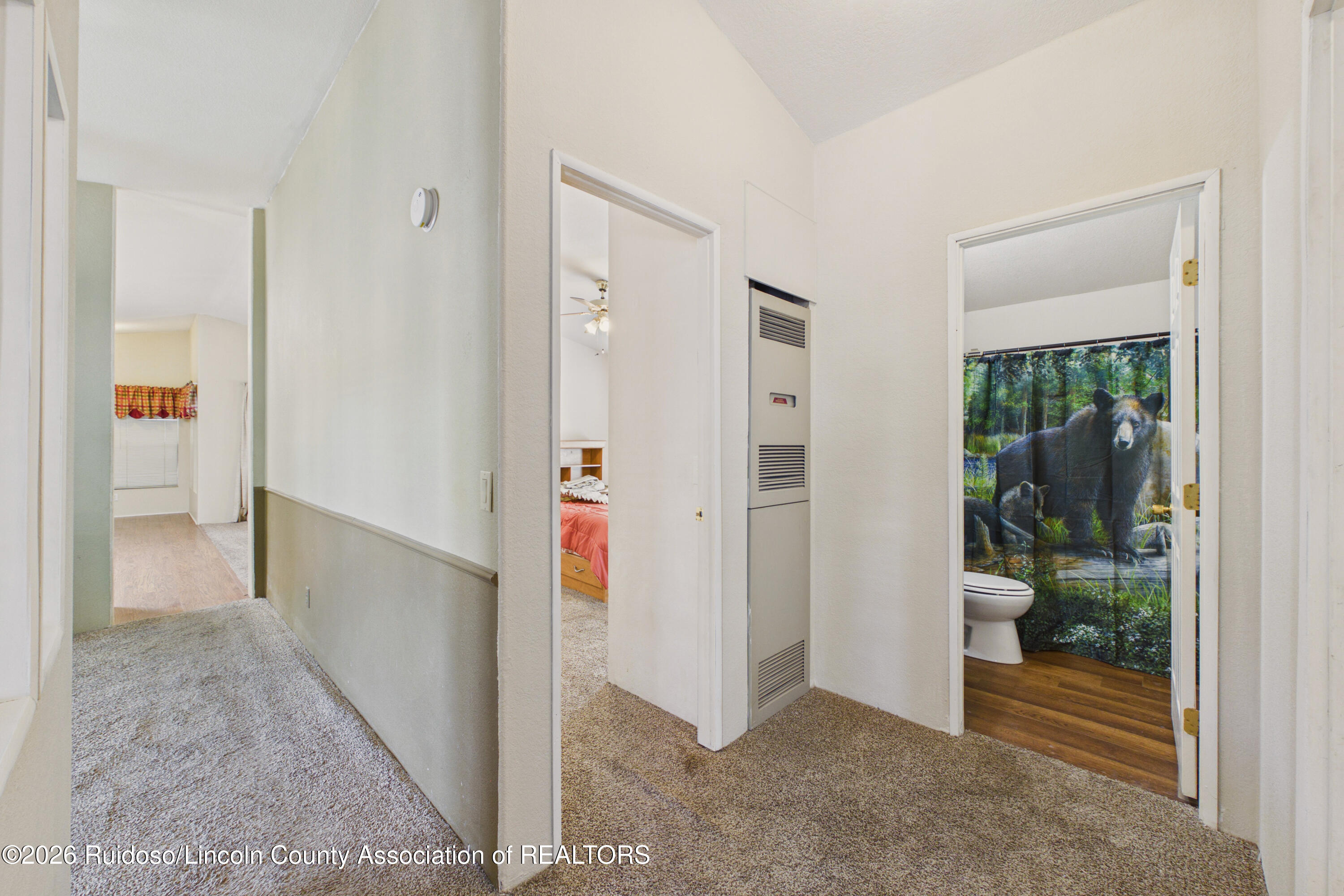 Carpeted hallway opening to a bedroom and bathroom with a bear-print shower curtain.