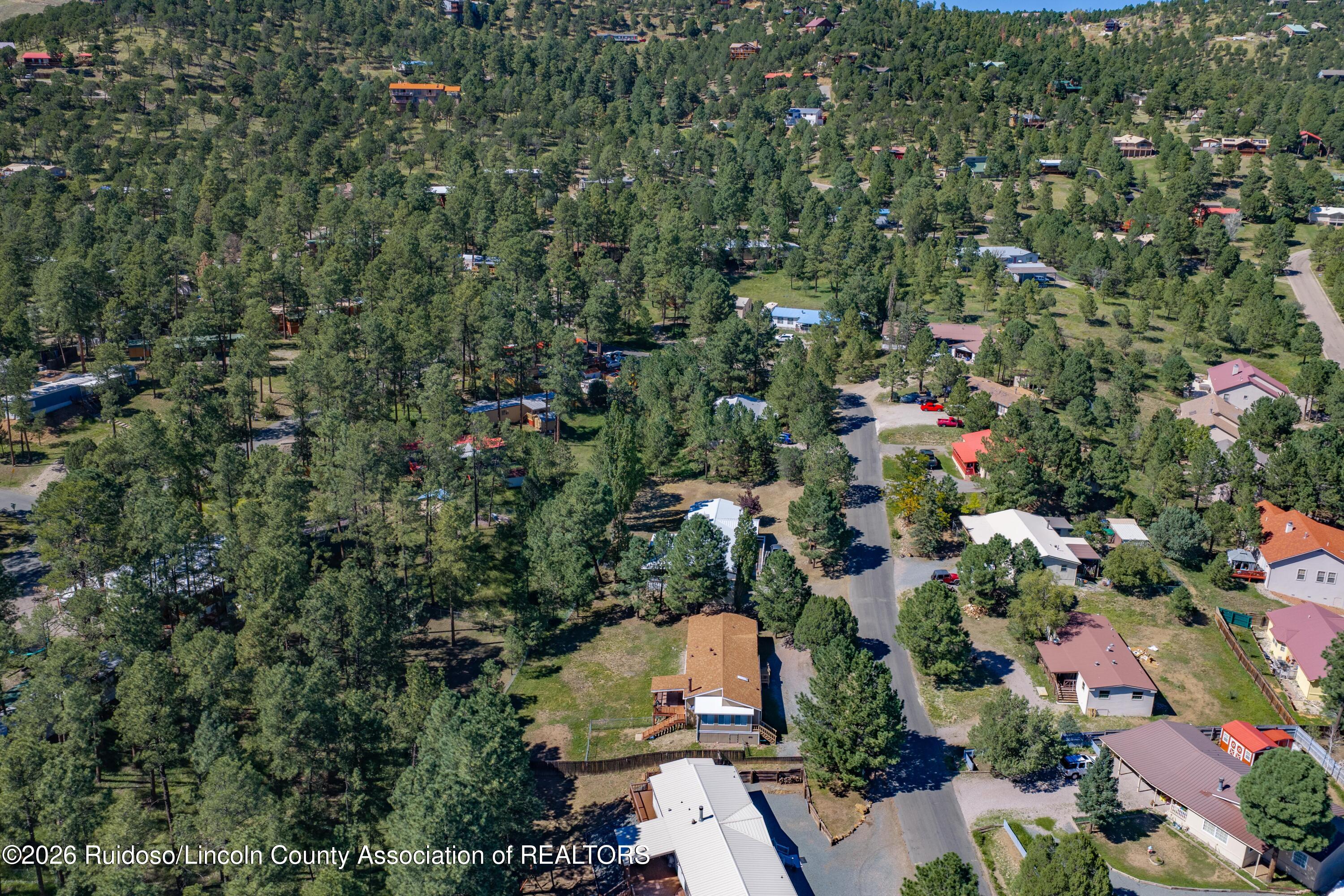 Aerial view of homes among pine trees, with a paved road through the neighborhood.