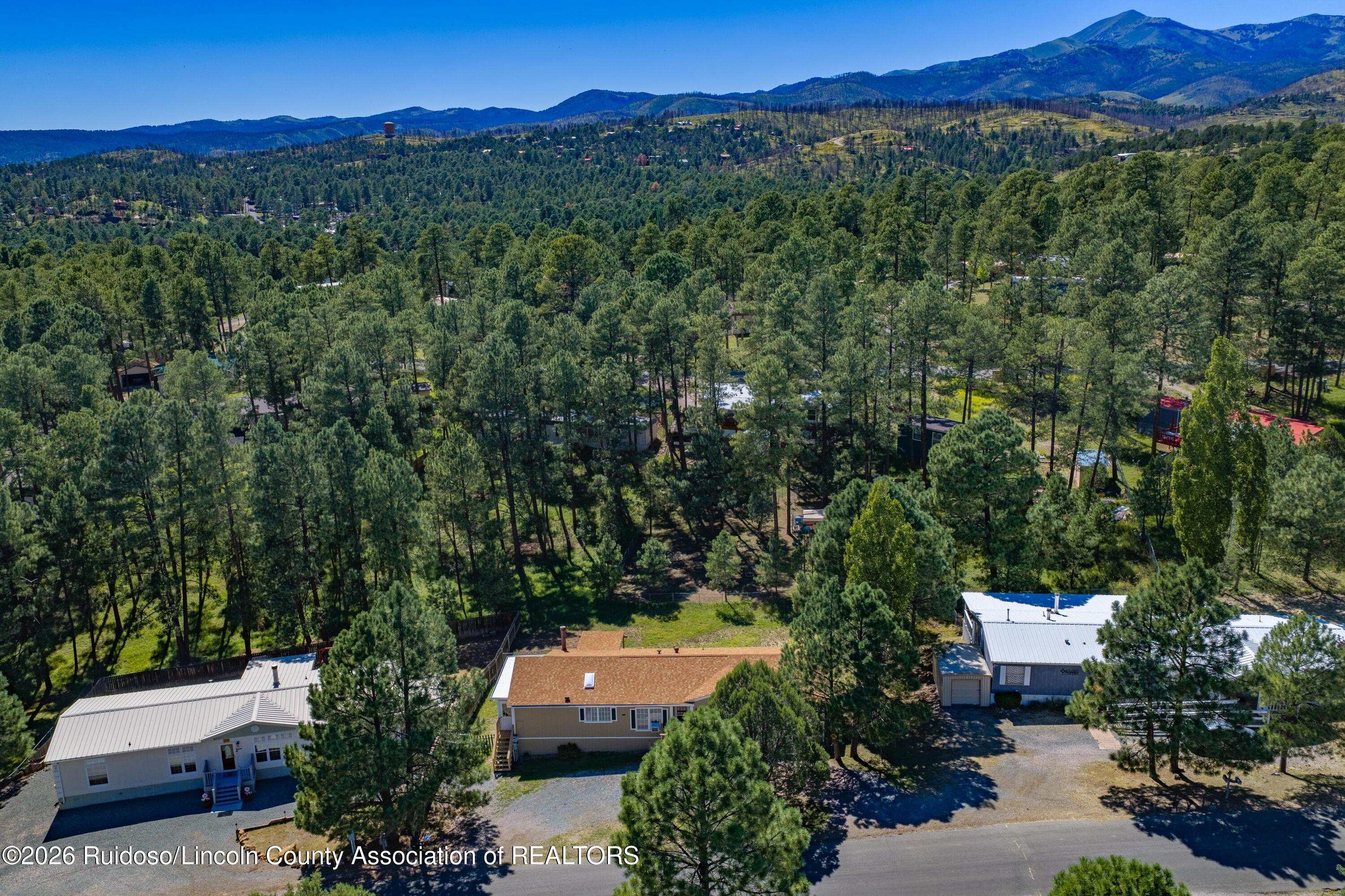 Aerial view of homes among pine trees, with distant mountains.