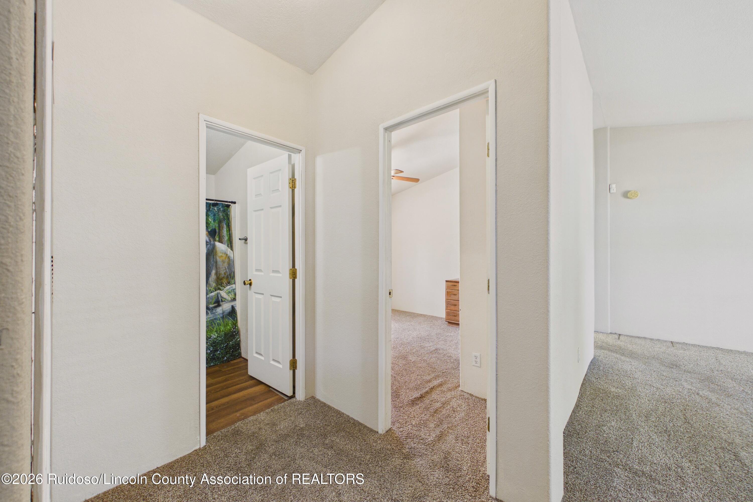 Carpeted hallway with open doorways leading to rooms, including one with wood flooring and a nature-themed shower curtain.