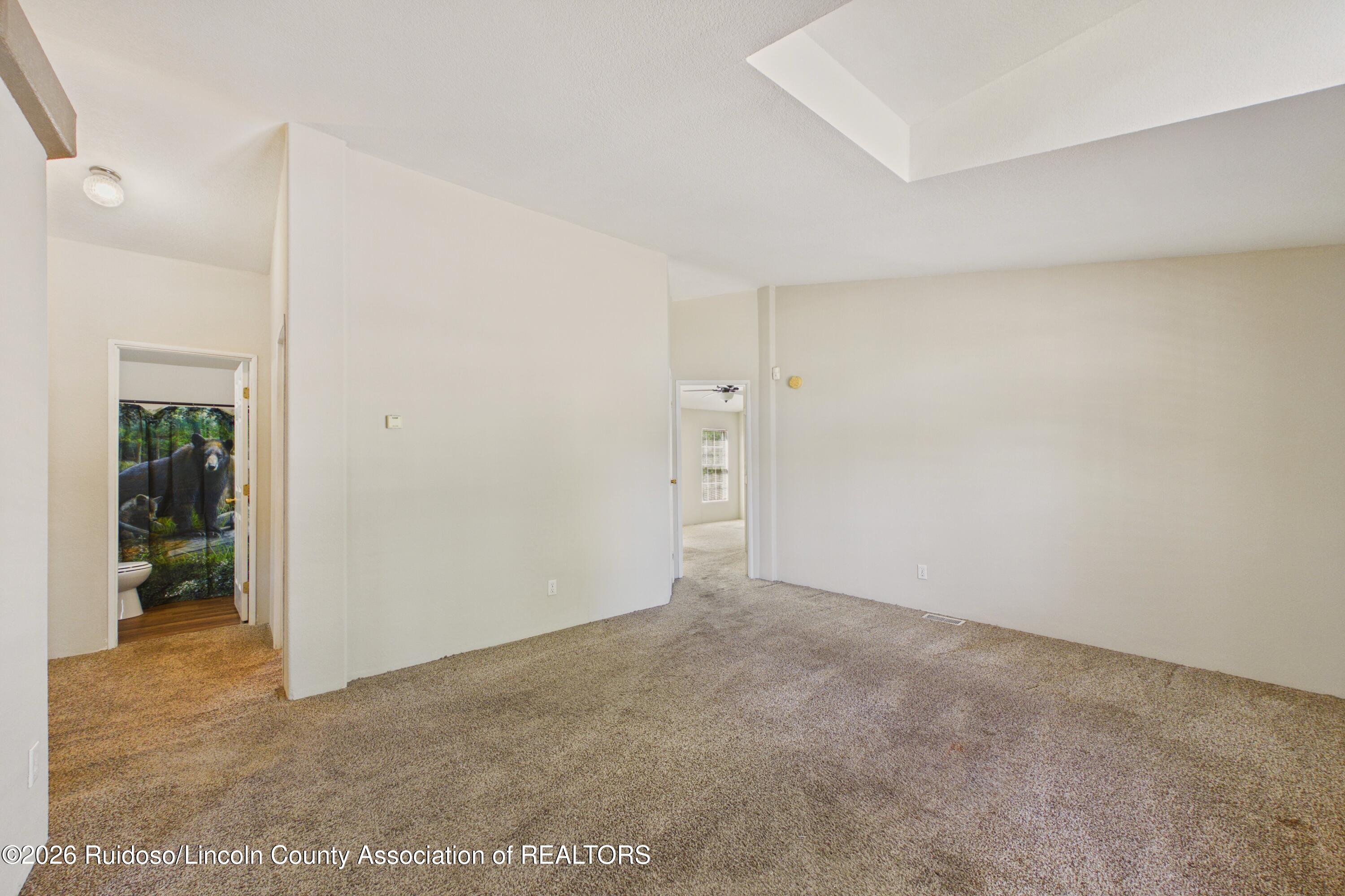 Empty carpeted room with a recessed ceiling and a bear mural visible through the bathroom doorway.