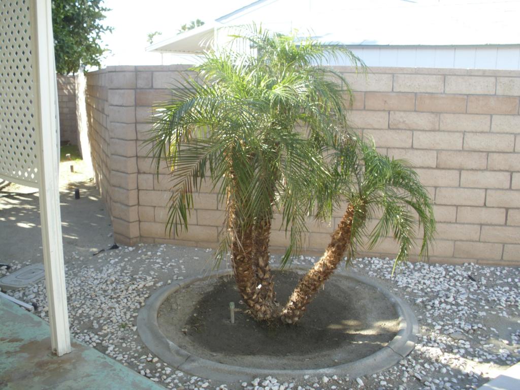32410 San Miguelito Drive