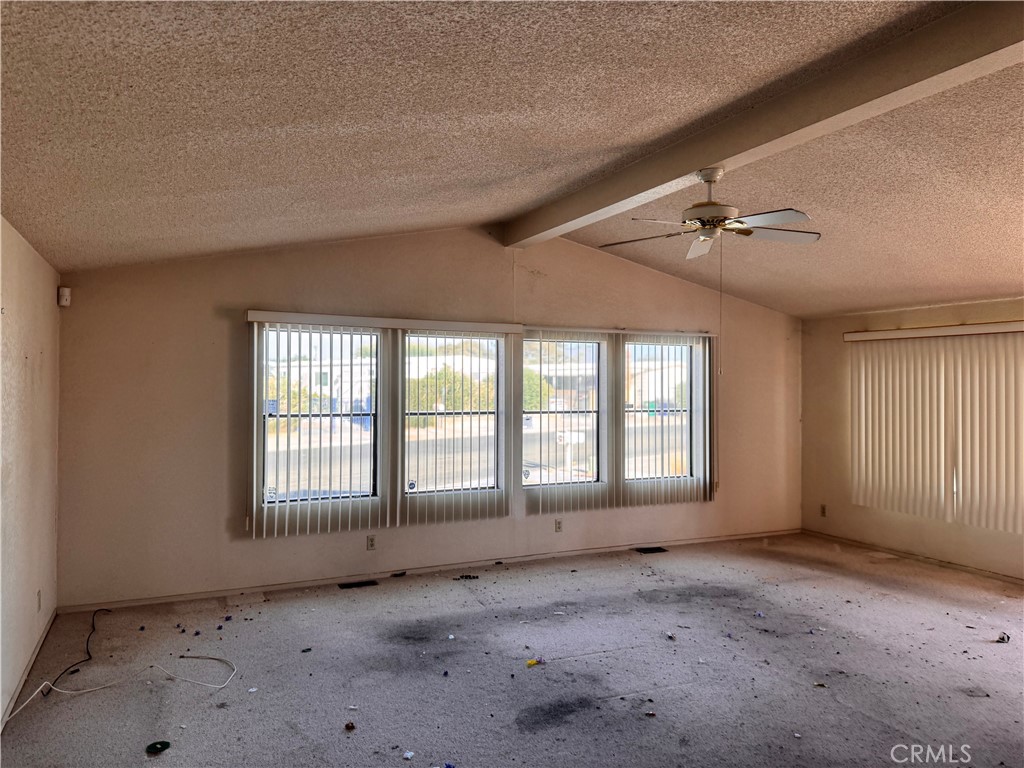 33265 Laura Drive