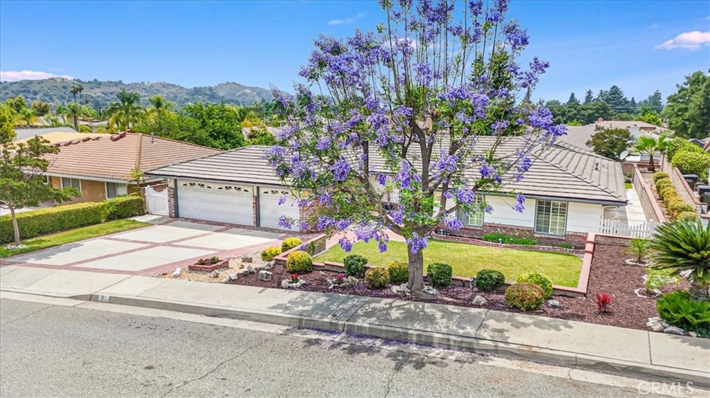 121 Glengrove Avenue