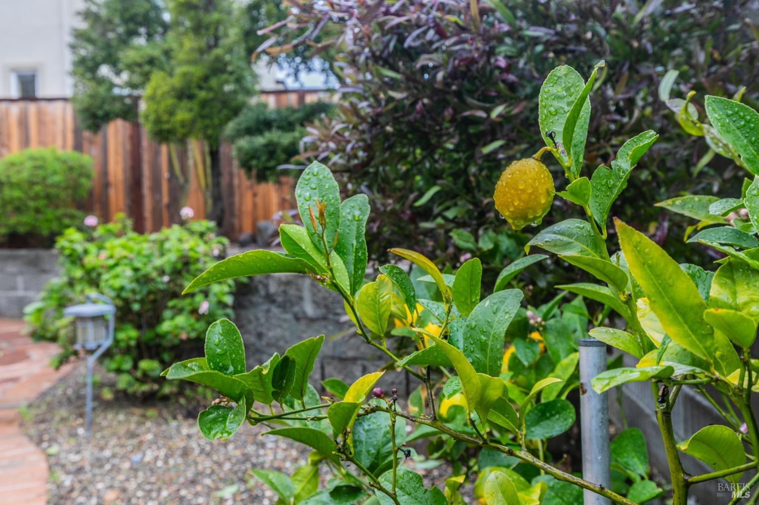 3268 Terrace Beach Drive