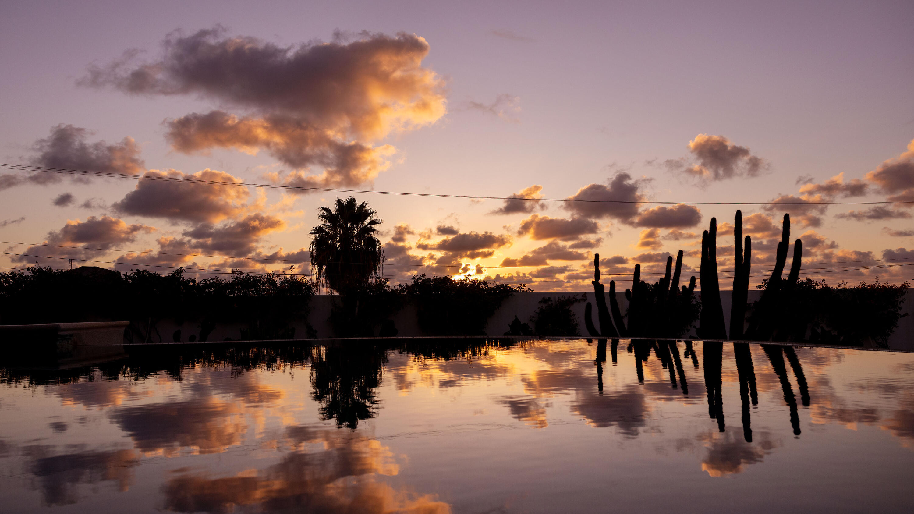 Casa Bohemia, Todos Santos