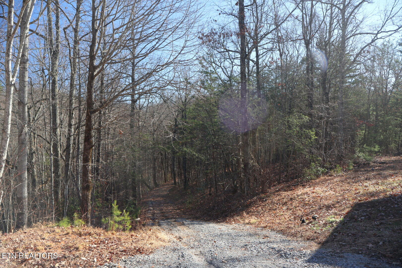 4010 Old Mountain Way