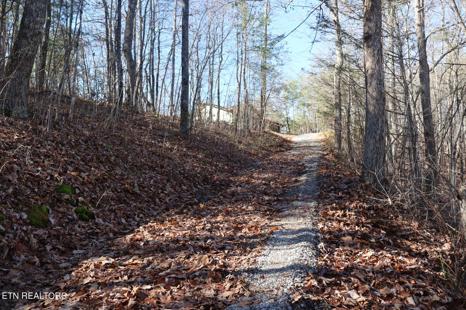 4010 Old Mountain Way