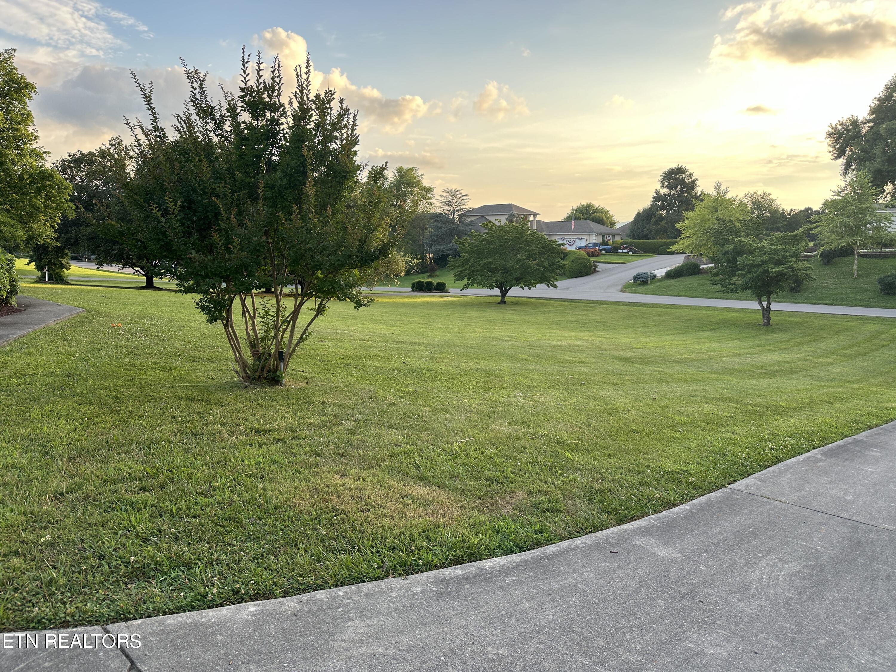 955 Boardly Hills Blvd