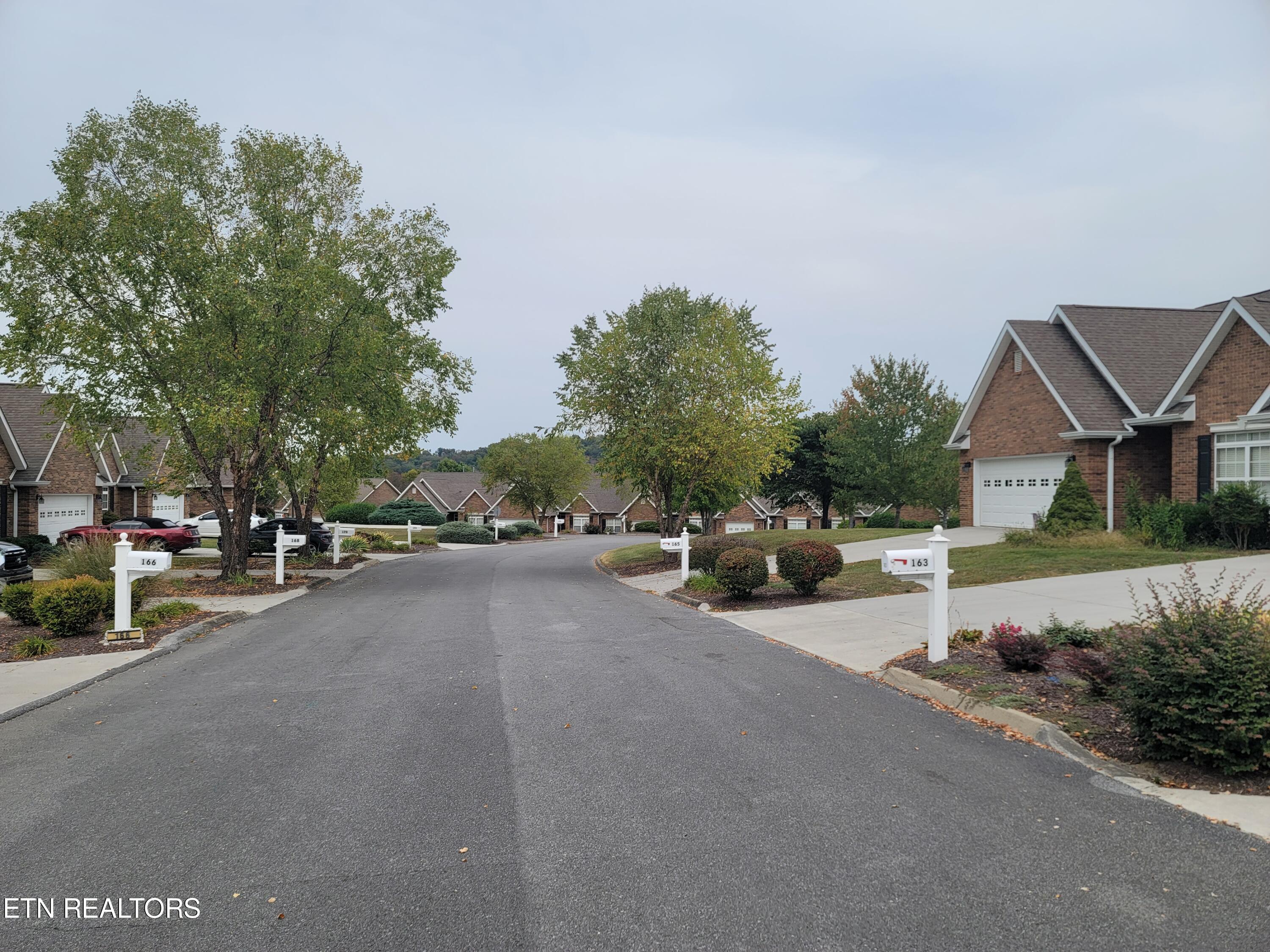 163 River Garden Court, 97