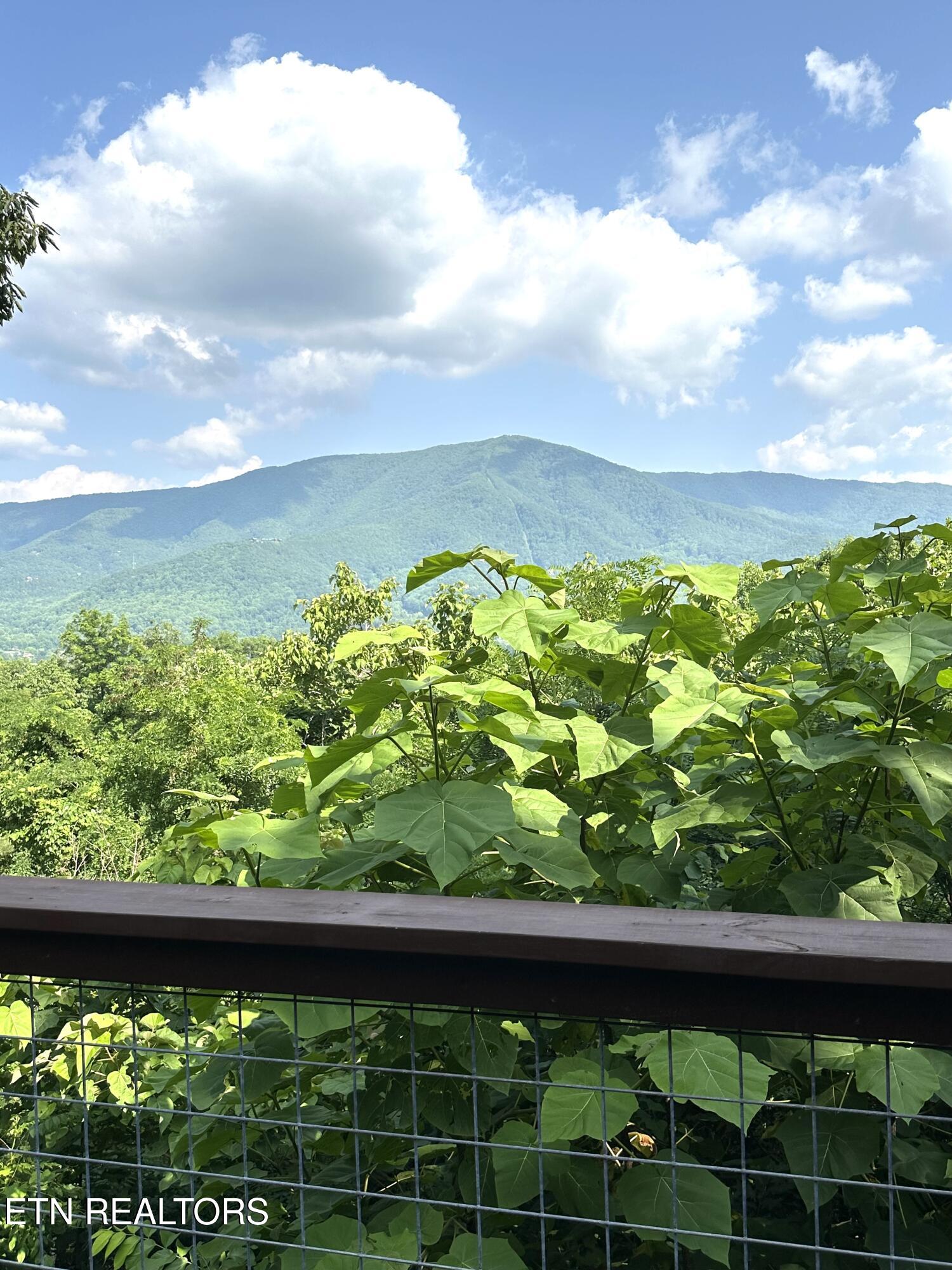 2973 Mockingbird Way