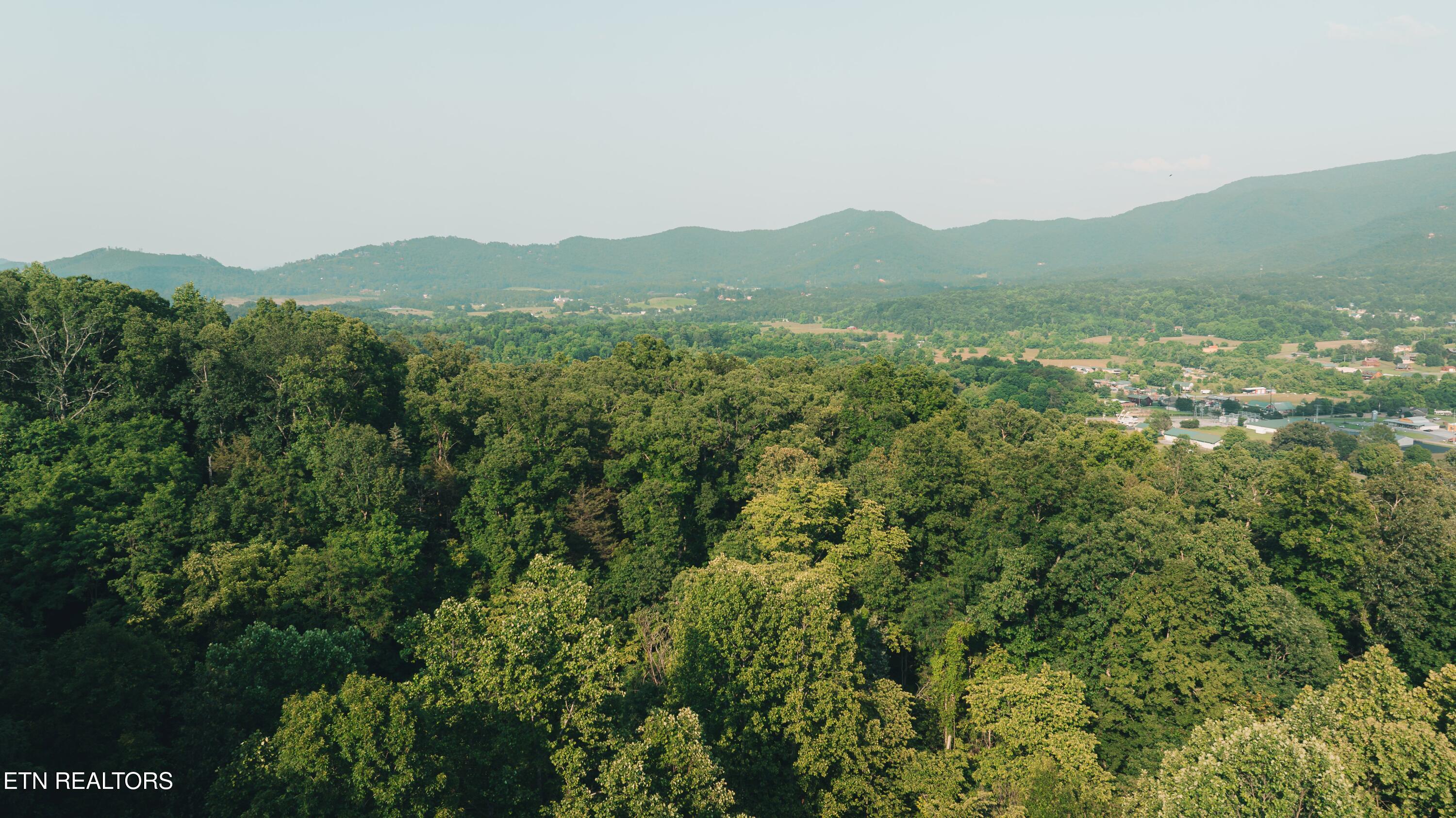 2973 Mockingbird Way