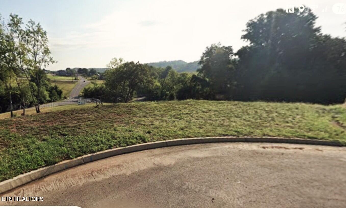 Lot 29 Bluff Shadows Lane