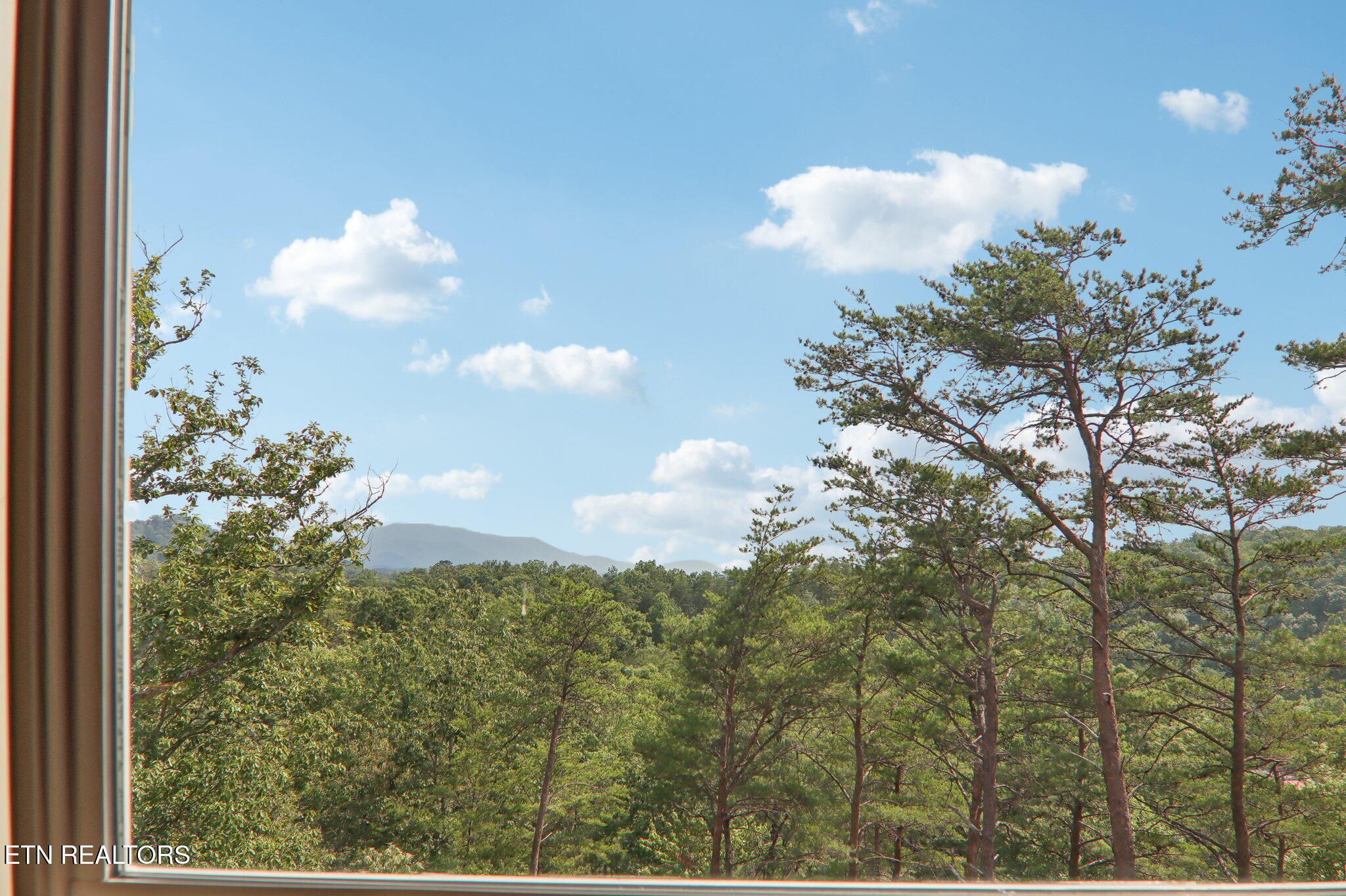 2616 Dogwood Loop Drive