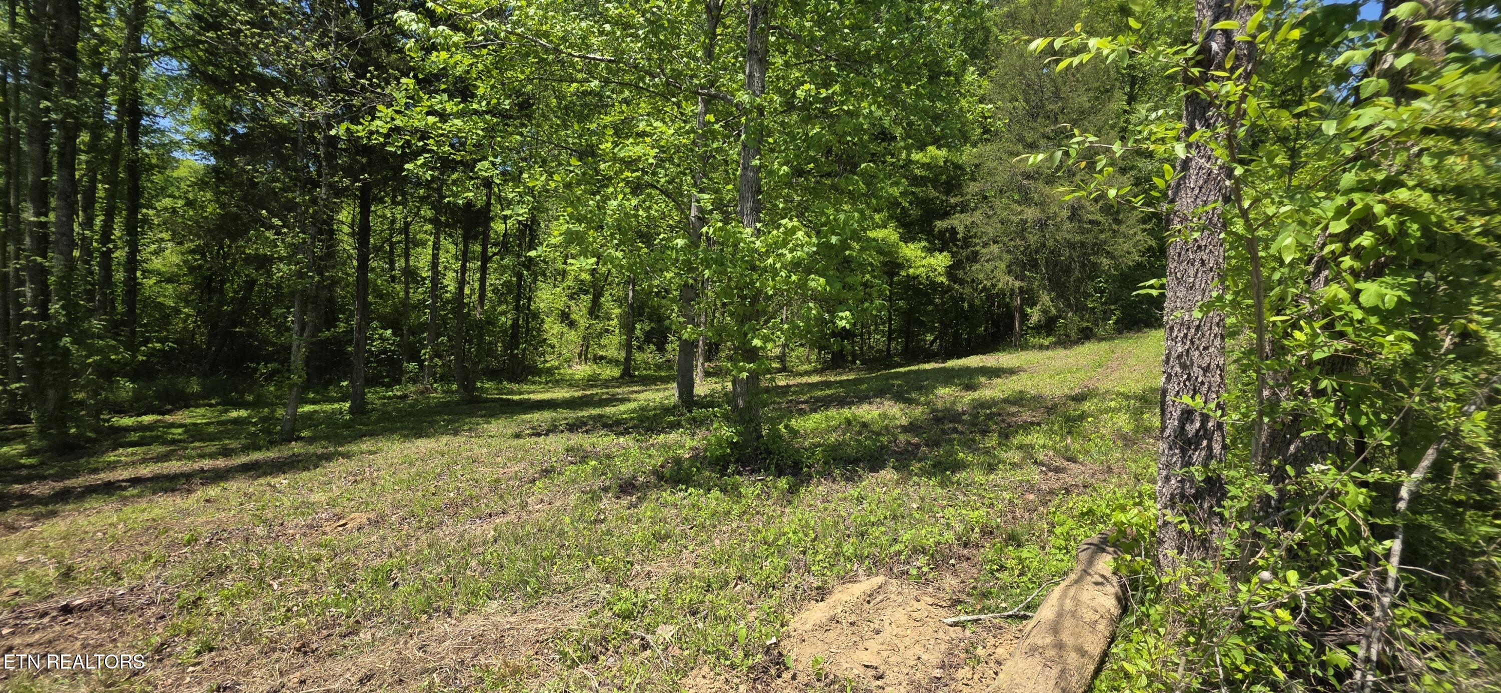 Lot 78 Harbor Ridge Lane