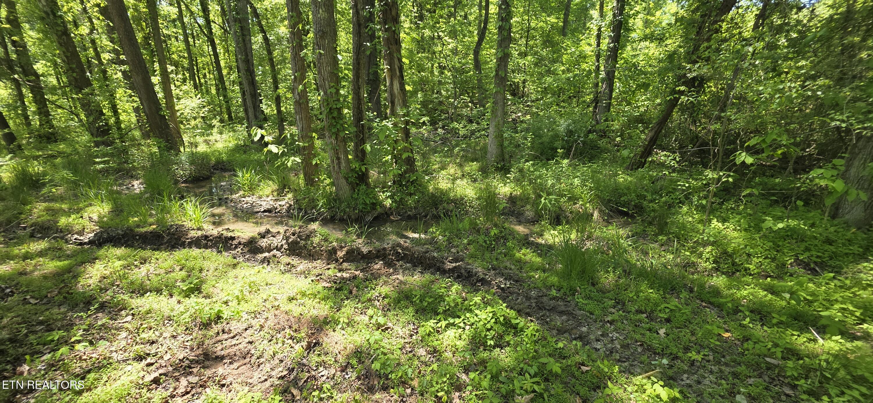 Lot 78 Harbor Ridge Lane