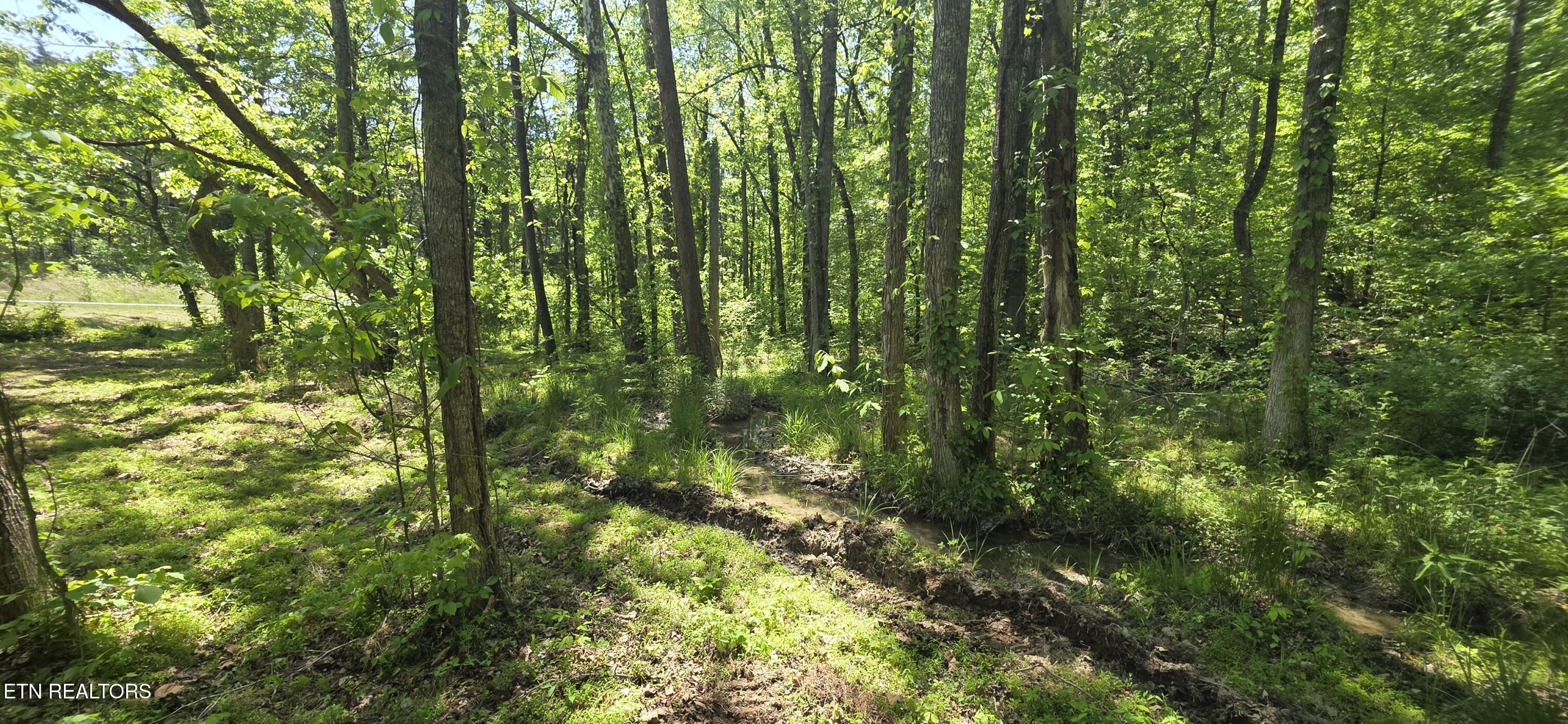 Lot 78 Harbor Ridge Lane