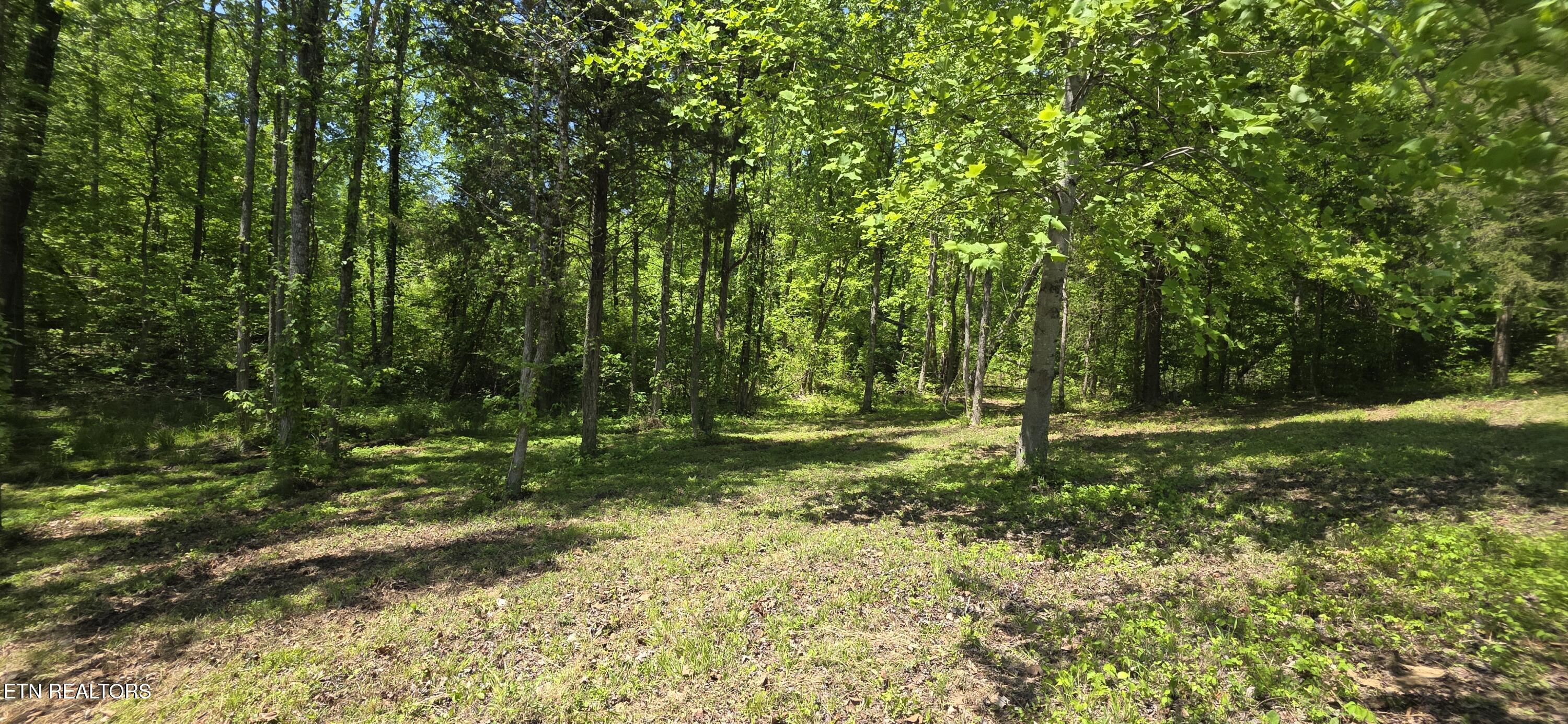 Lot 78 Harbor Ridge Lane